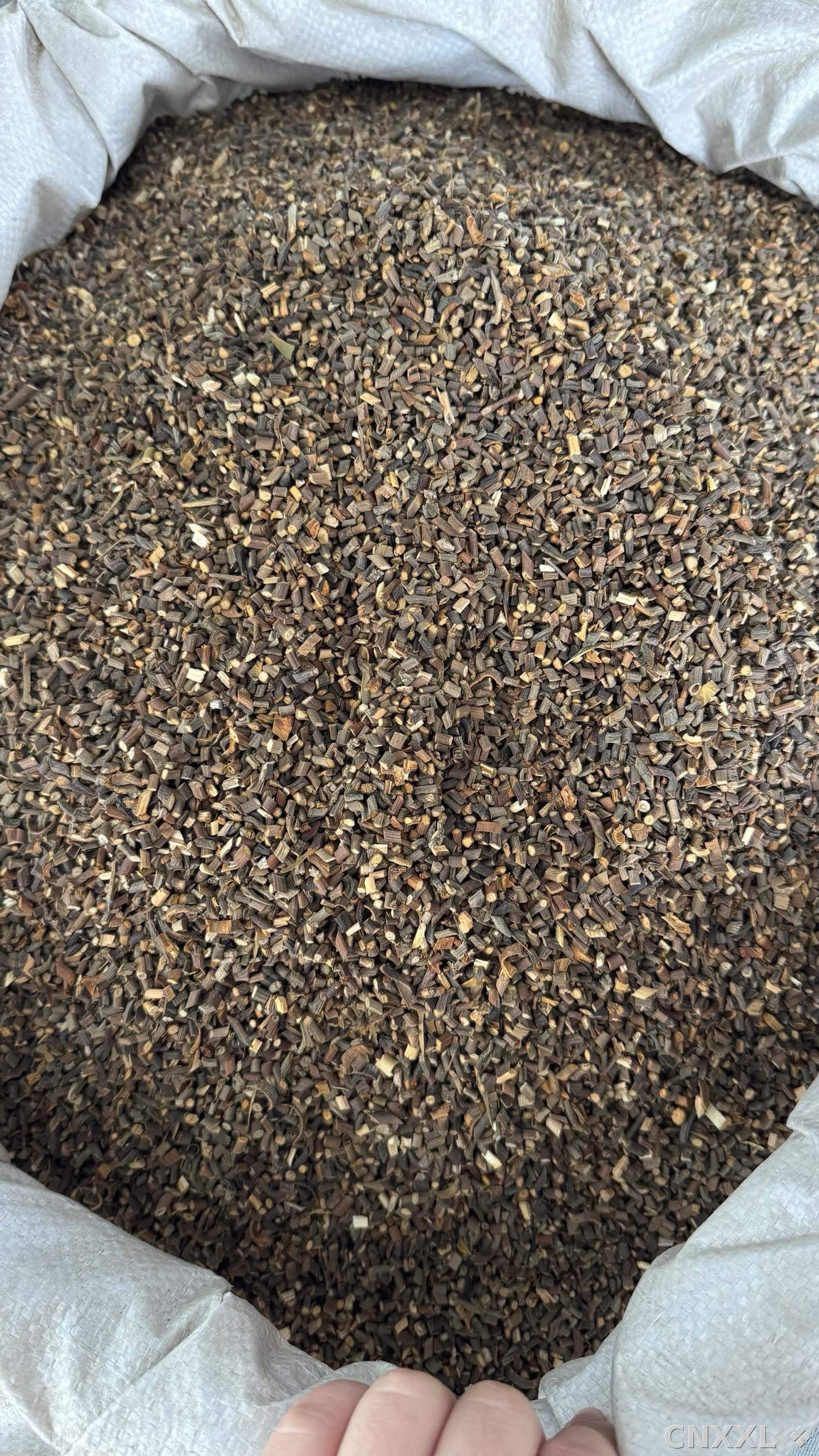 spice_2766_f773b8fb_3.jpg