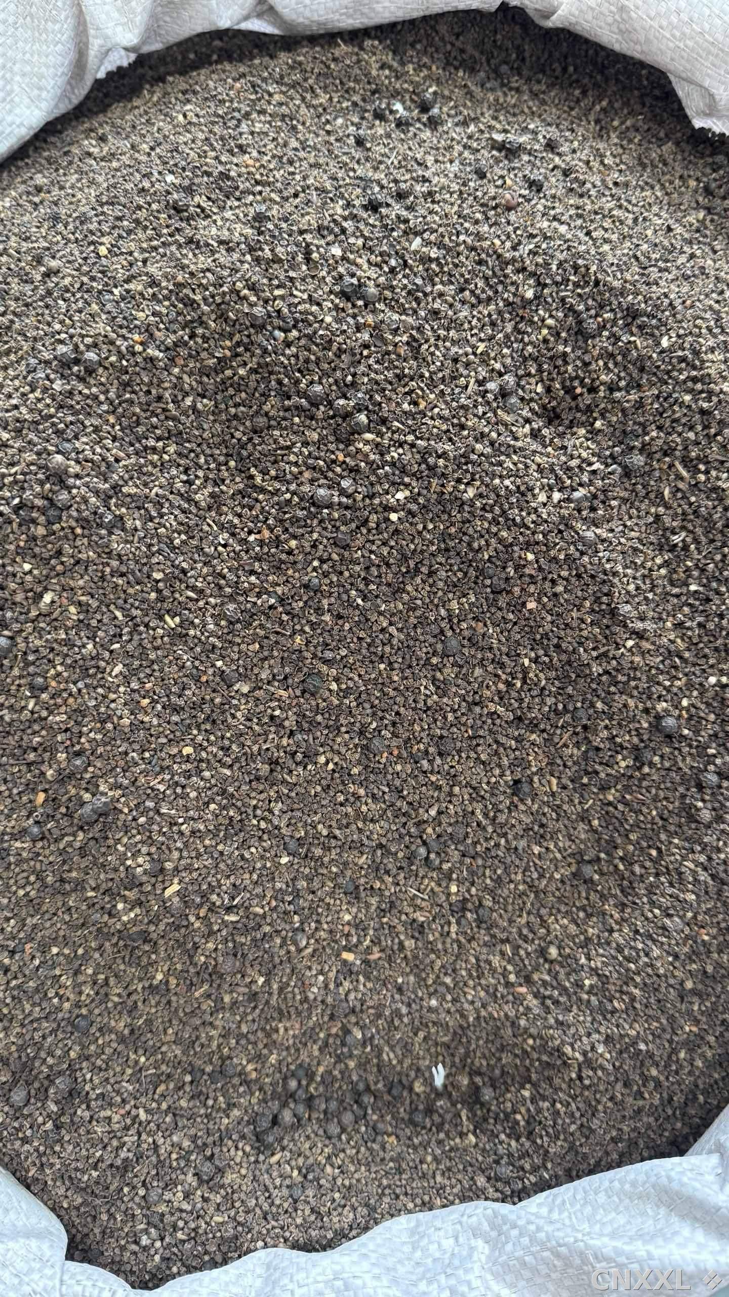 spice_2772_a5d7c7b8_3.jpg