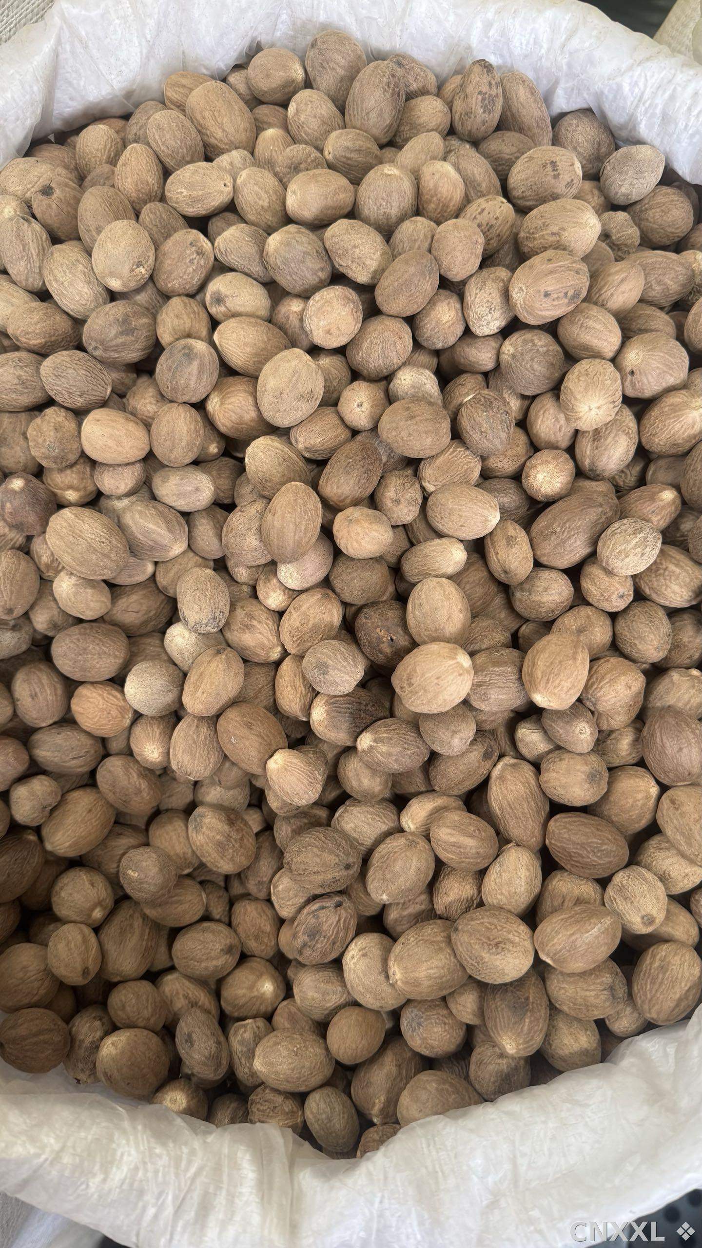 spice_2774_5522bf45_3.jpg