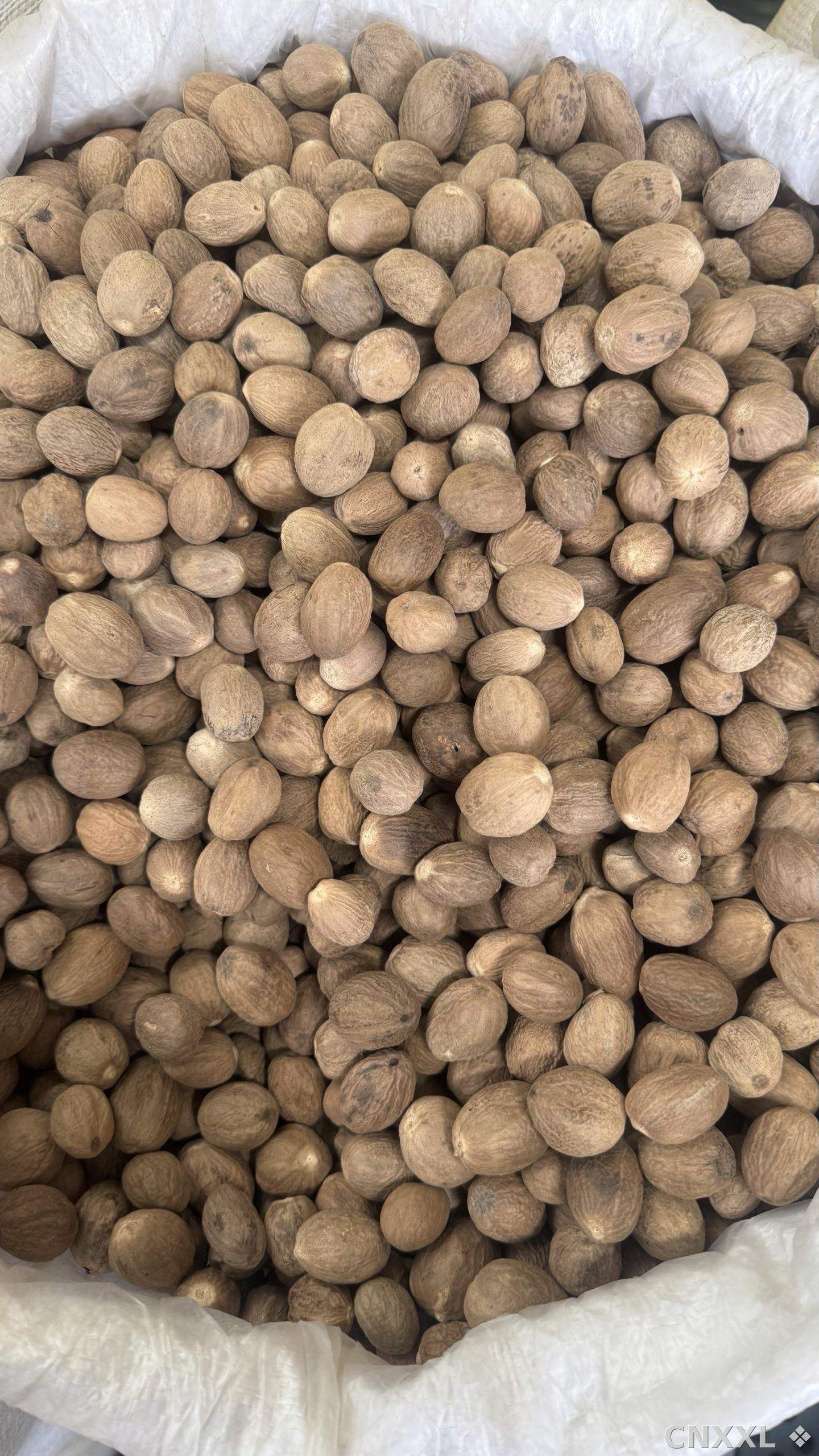 spice_2774_e9b52903_2.jpg