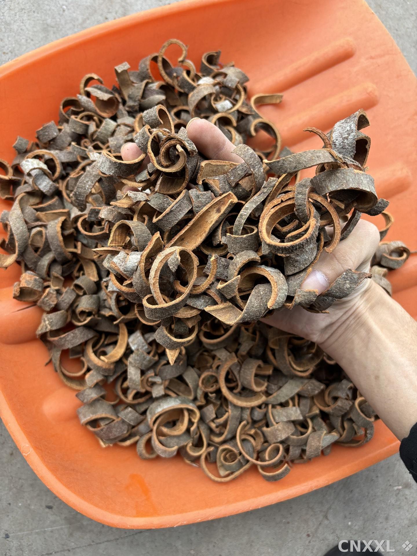 spice_2778_d93da0b3_3.jpg