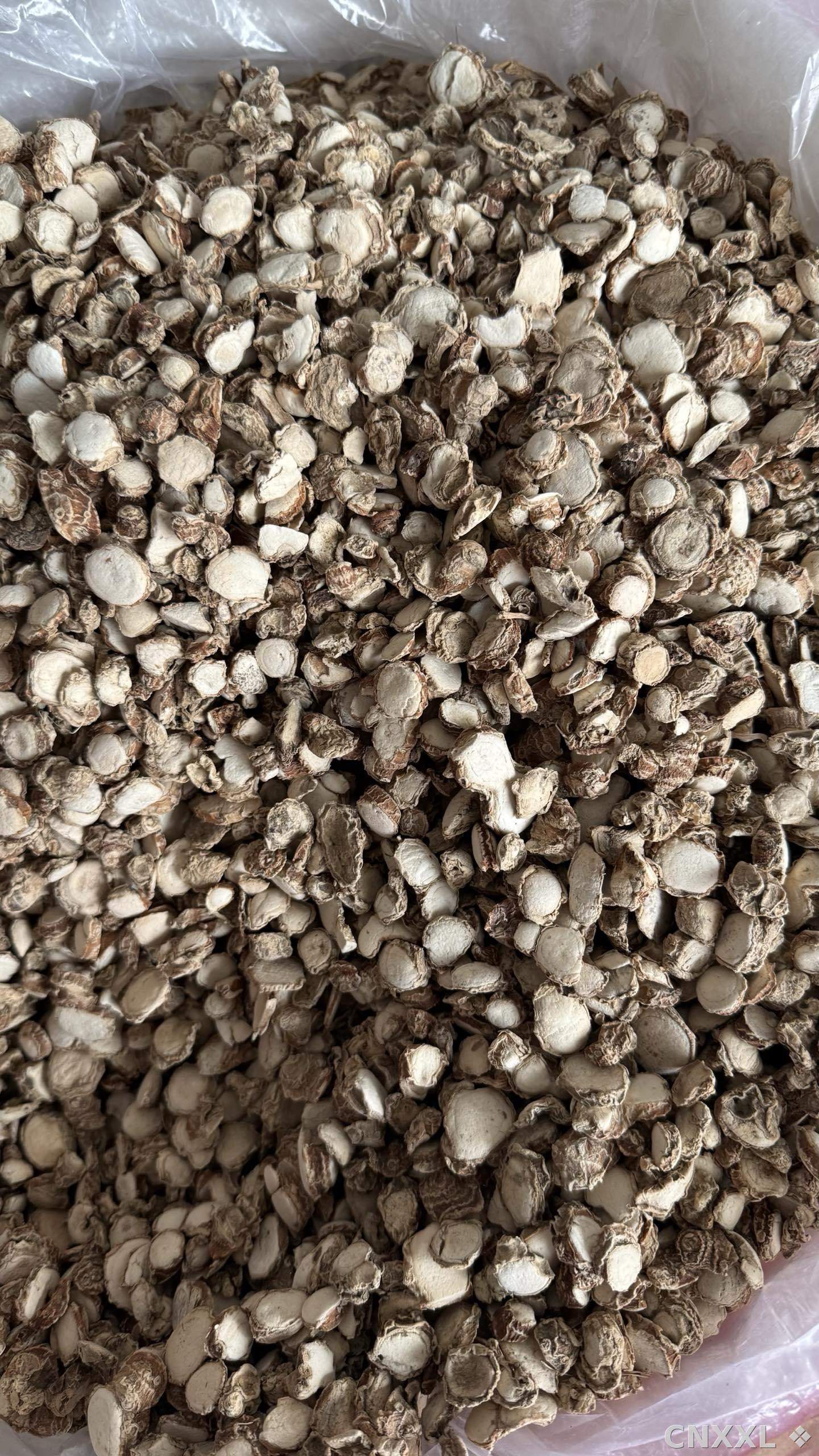 spice_2_6c518409_2.jpg