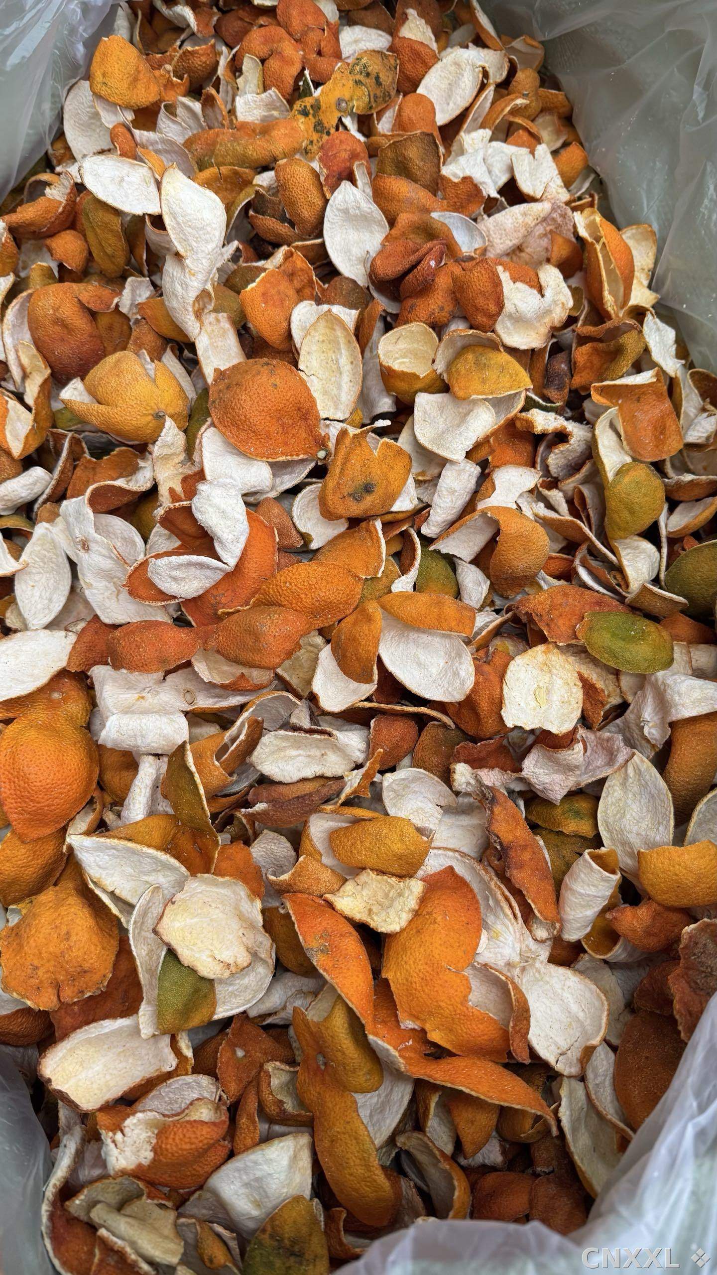 spice_332_b534ac05_3.jpg