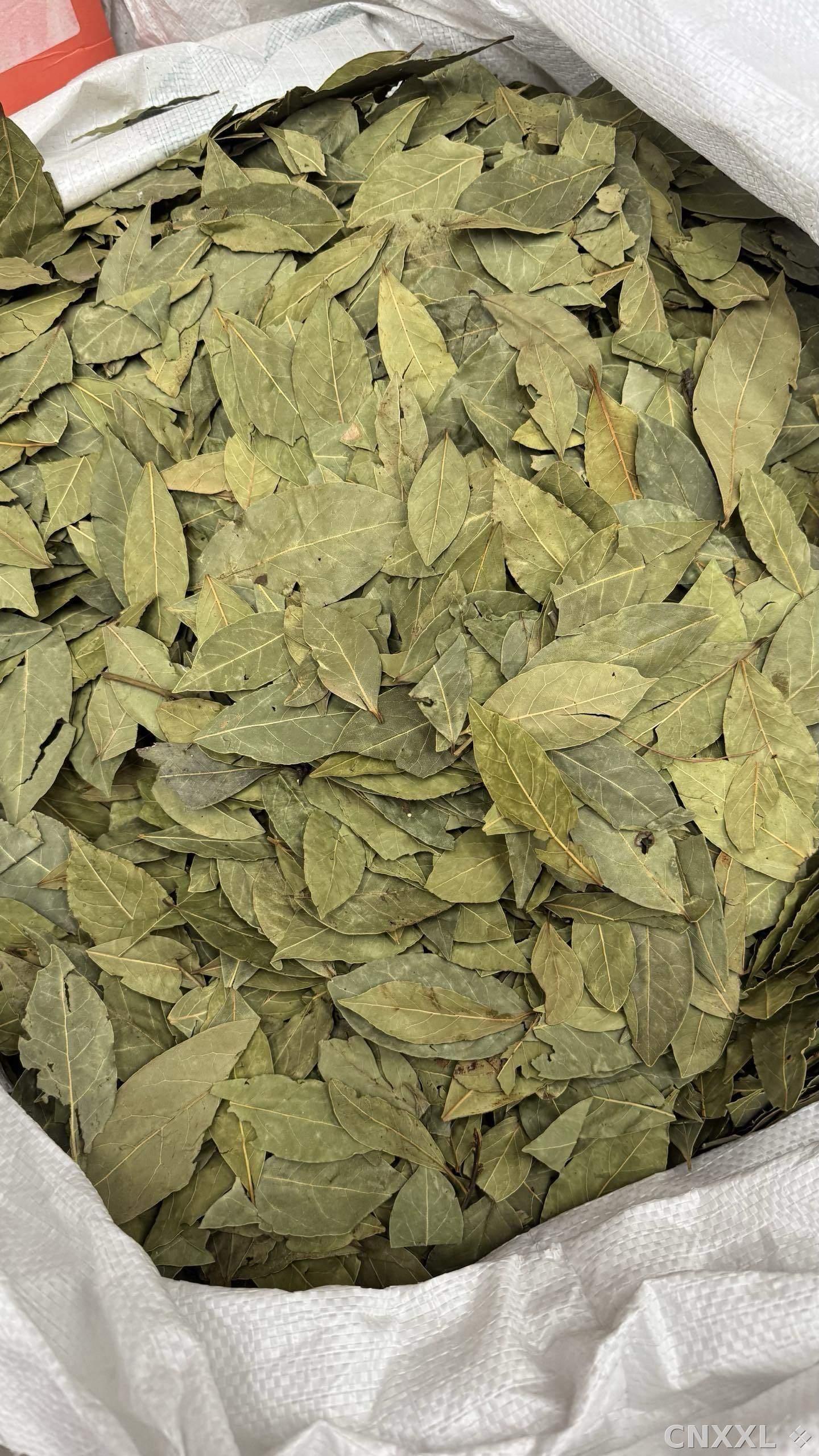 spice_341_670582a3_3.jpg