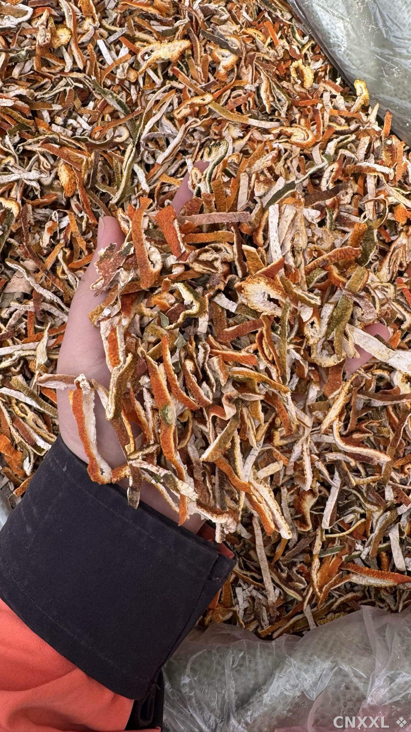 spice_363_5aeff3eb_1.jpg