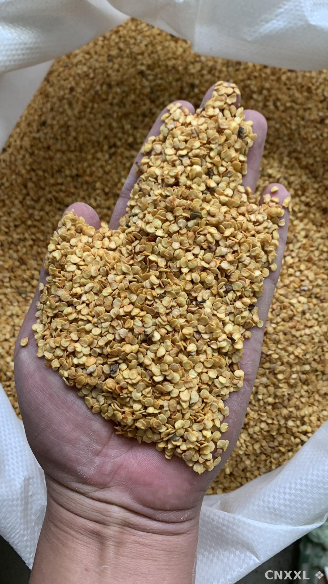 spice_377_6e63afbd_2.jpg