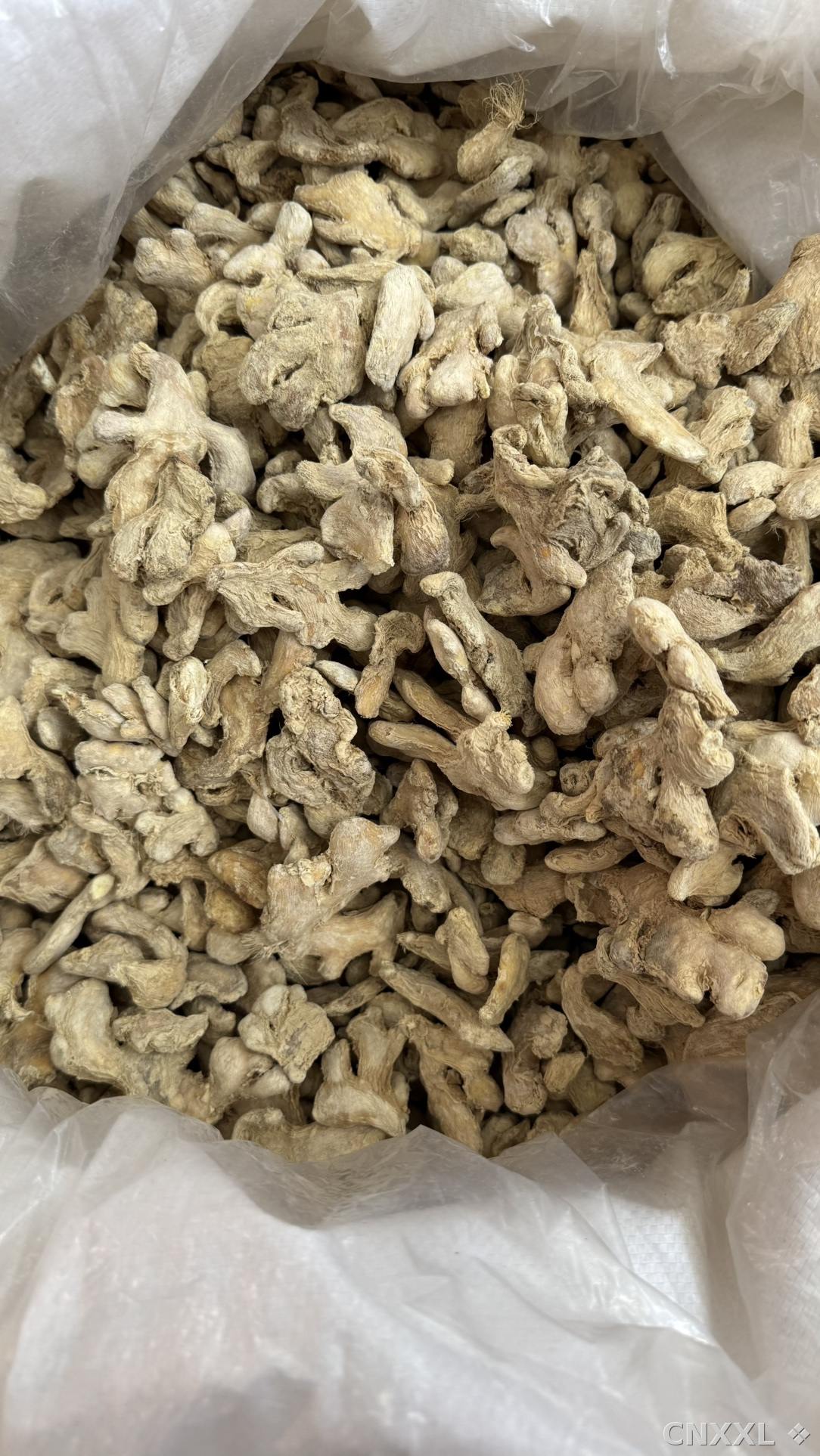 spice_379_3786ea81_3.jpg