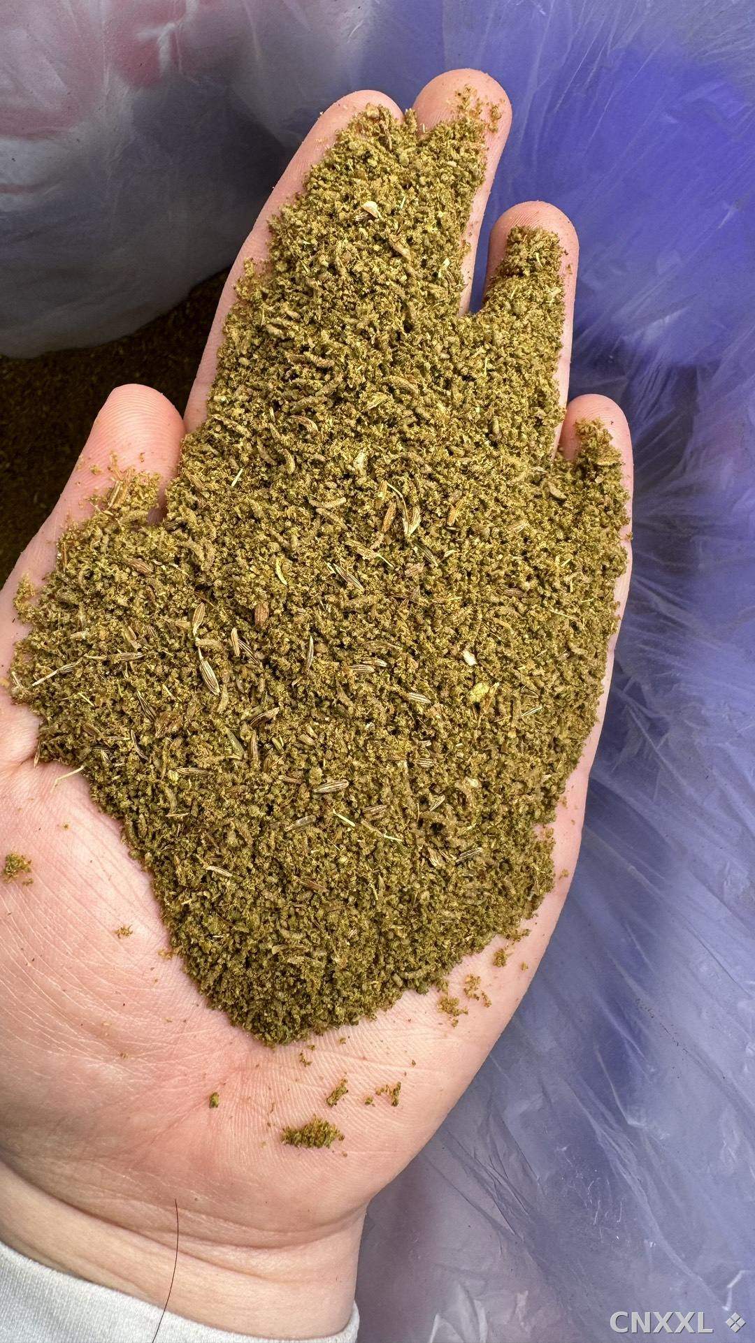 spice_394_06640d4c_1.jpg