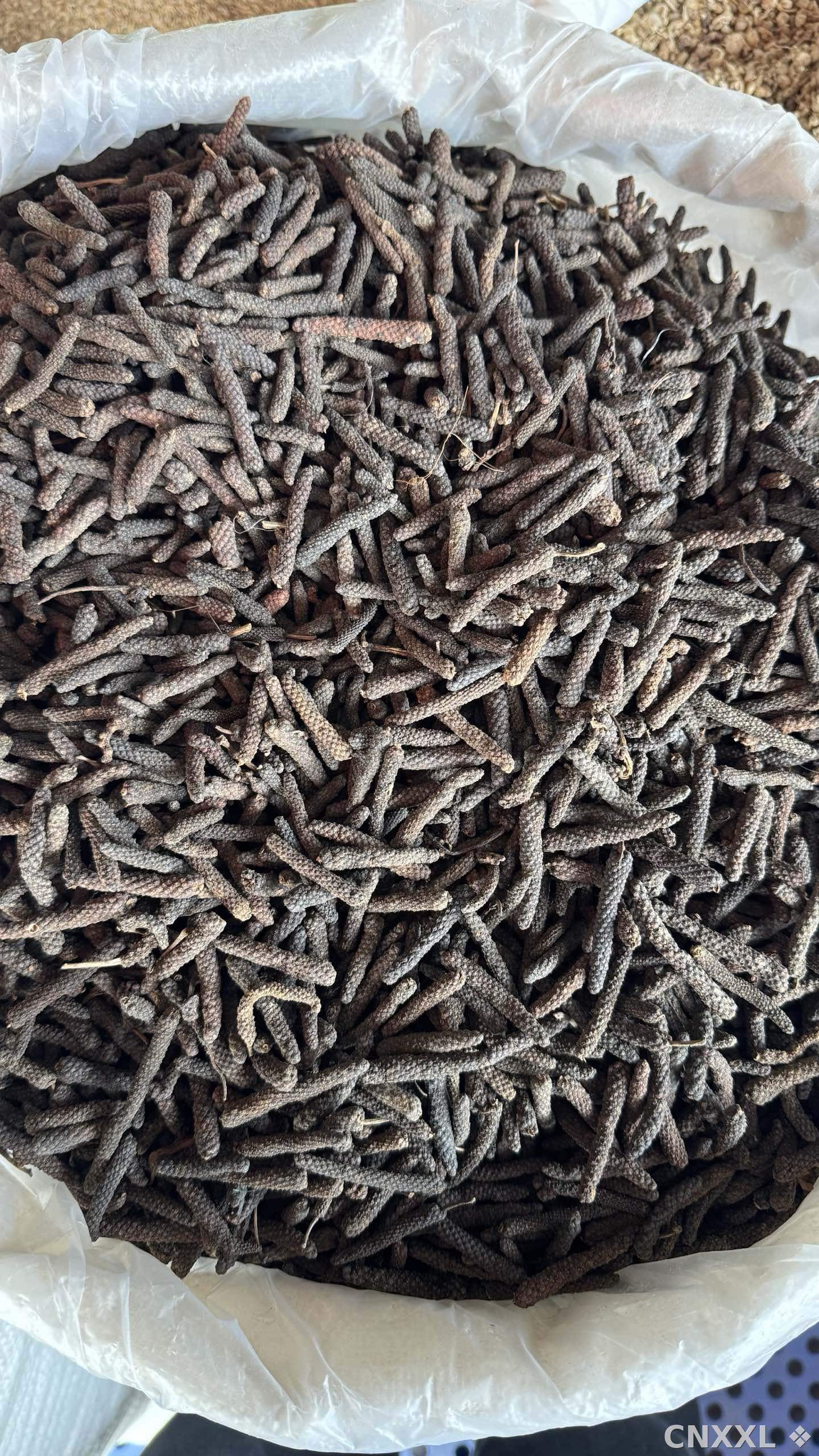 spice_3_1e0407cb_3.jpg