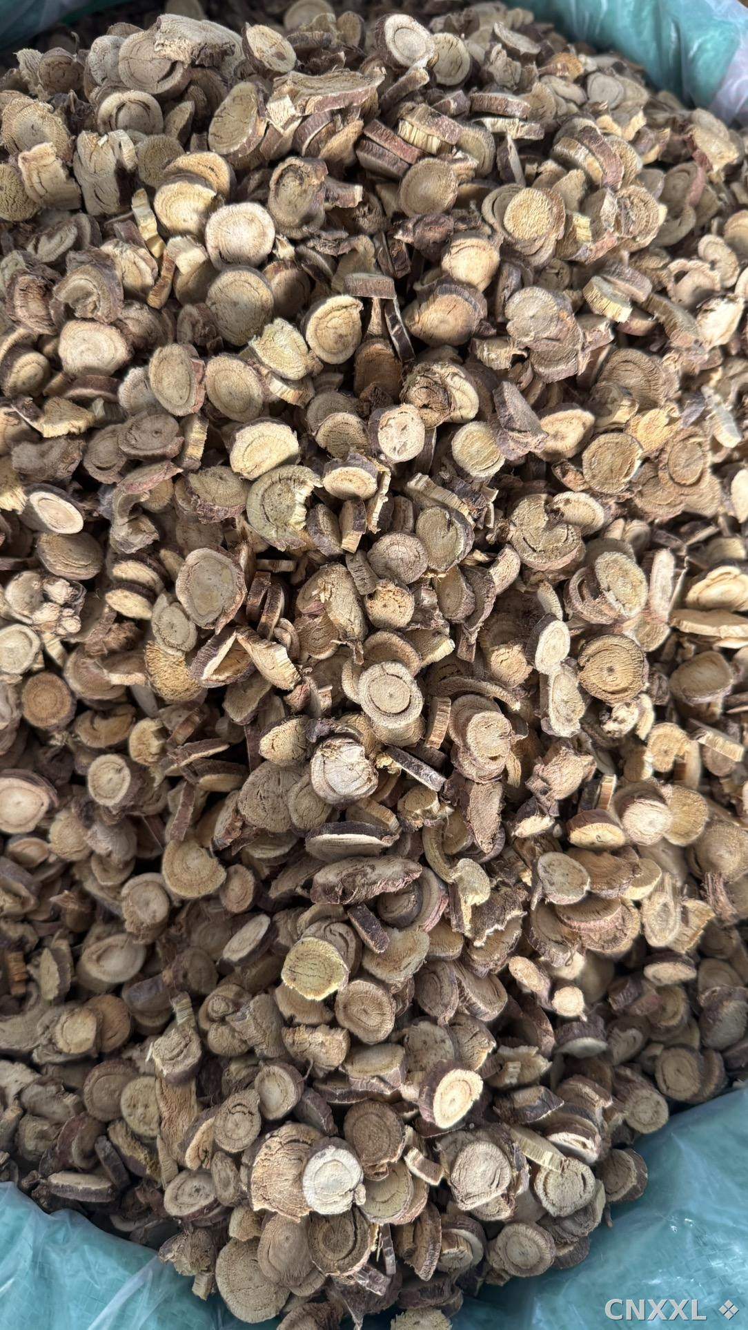 spice_42_eb1fae4b_3.jpg