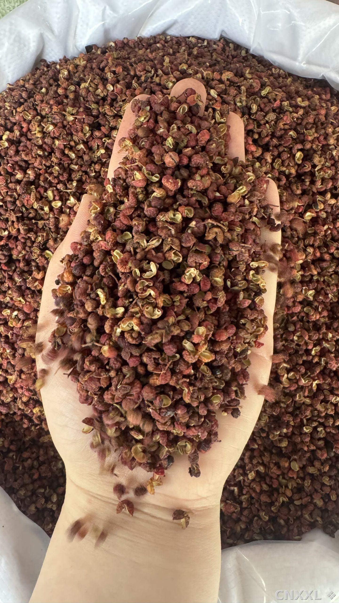 spice_44_c2e7c43a_2.jpg