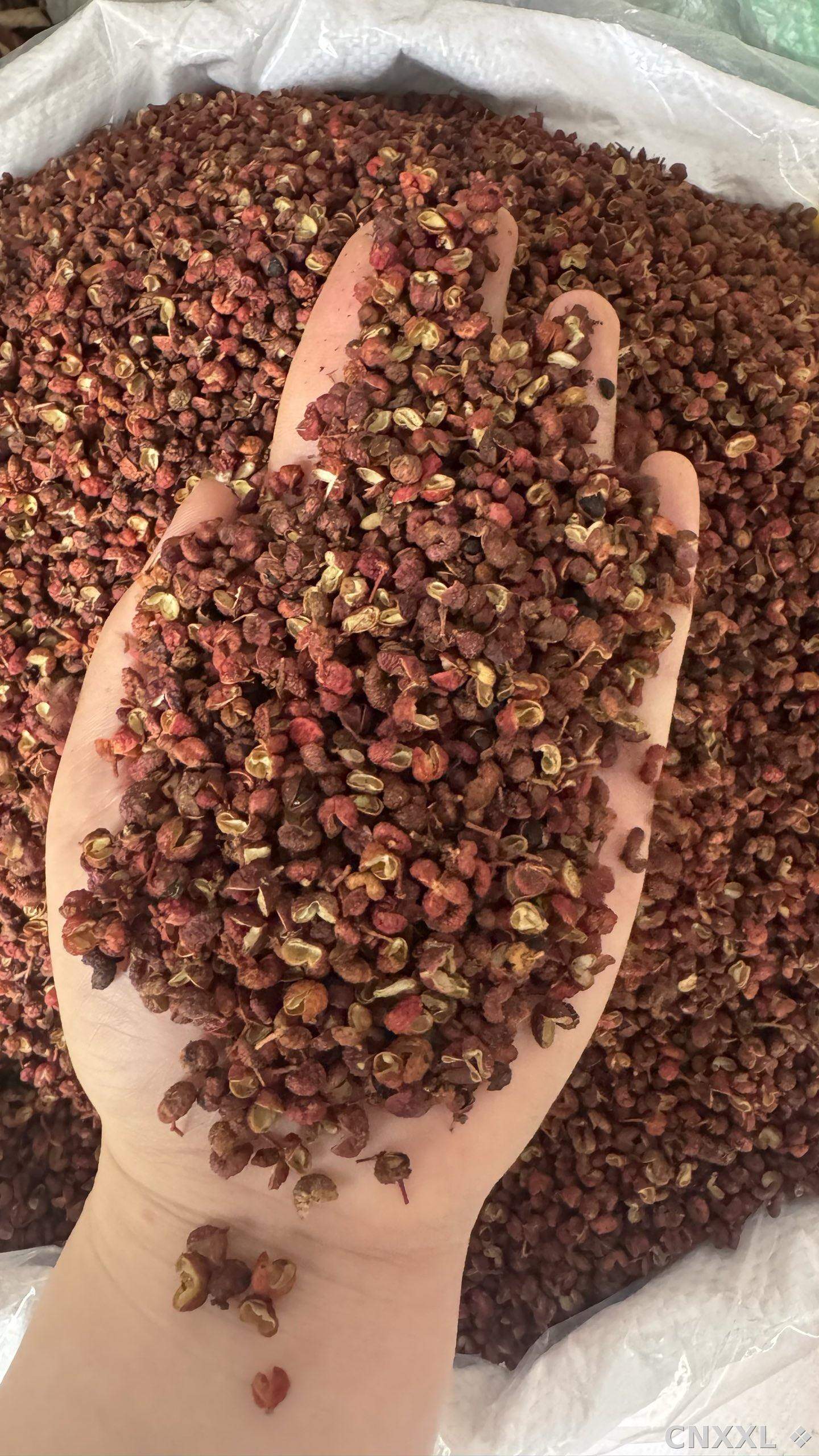 spice_45_1a3428c8_1.jpg
