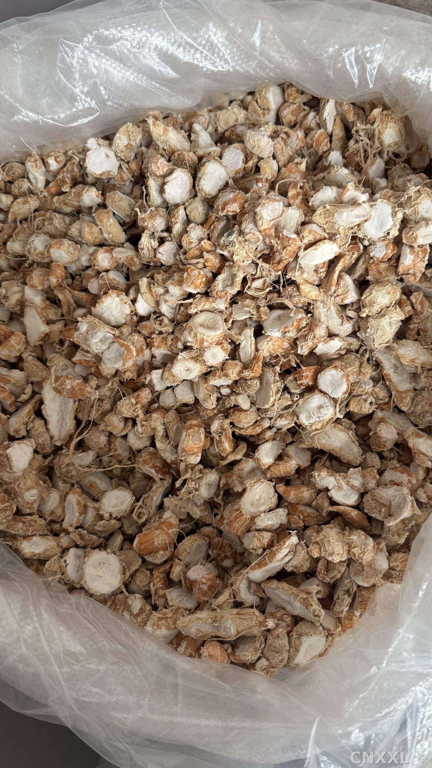 spice_464_c7e4e78d_3.jpg