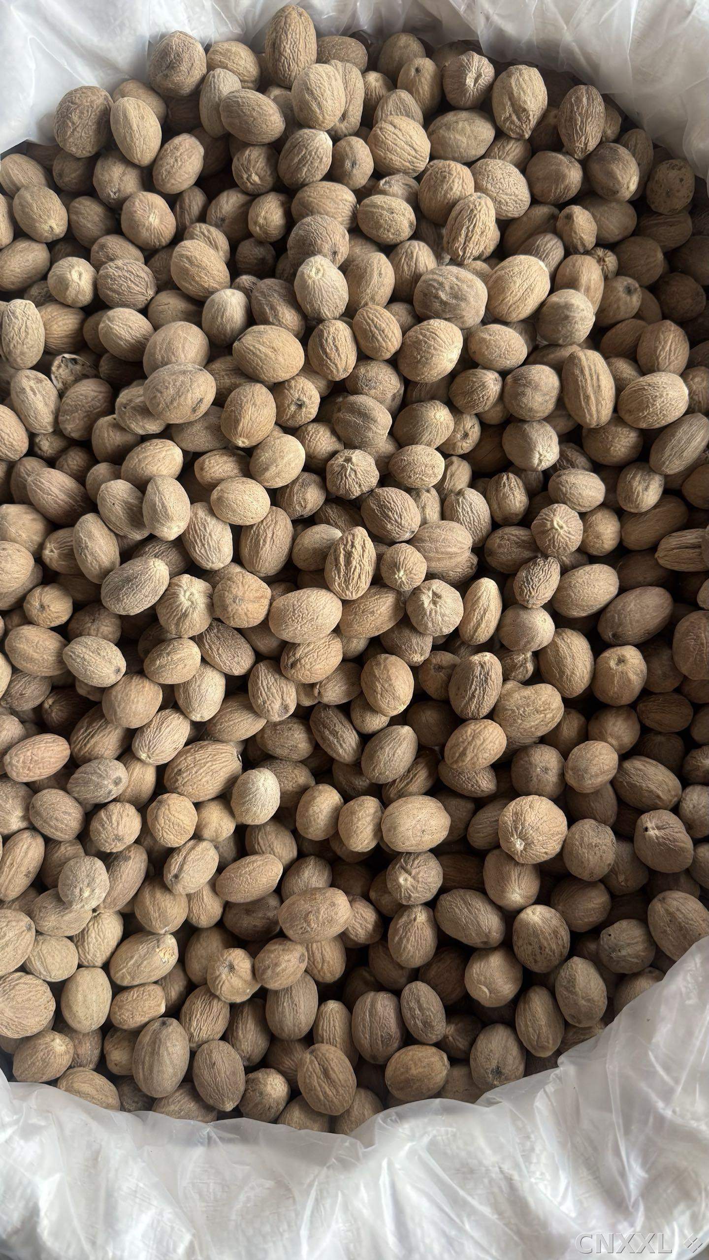 spice_4_492bd6f7_3.jpg