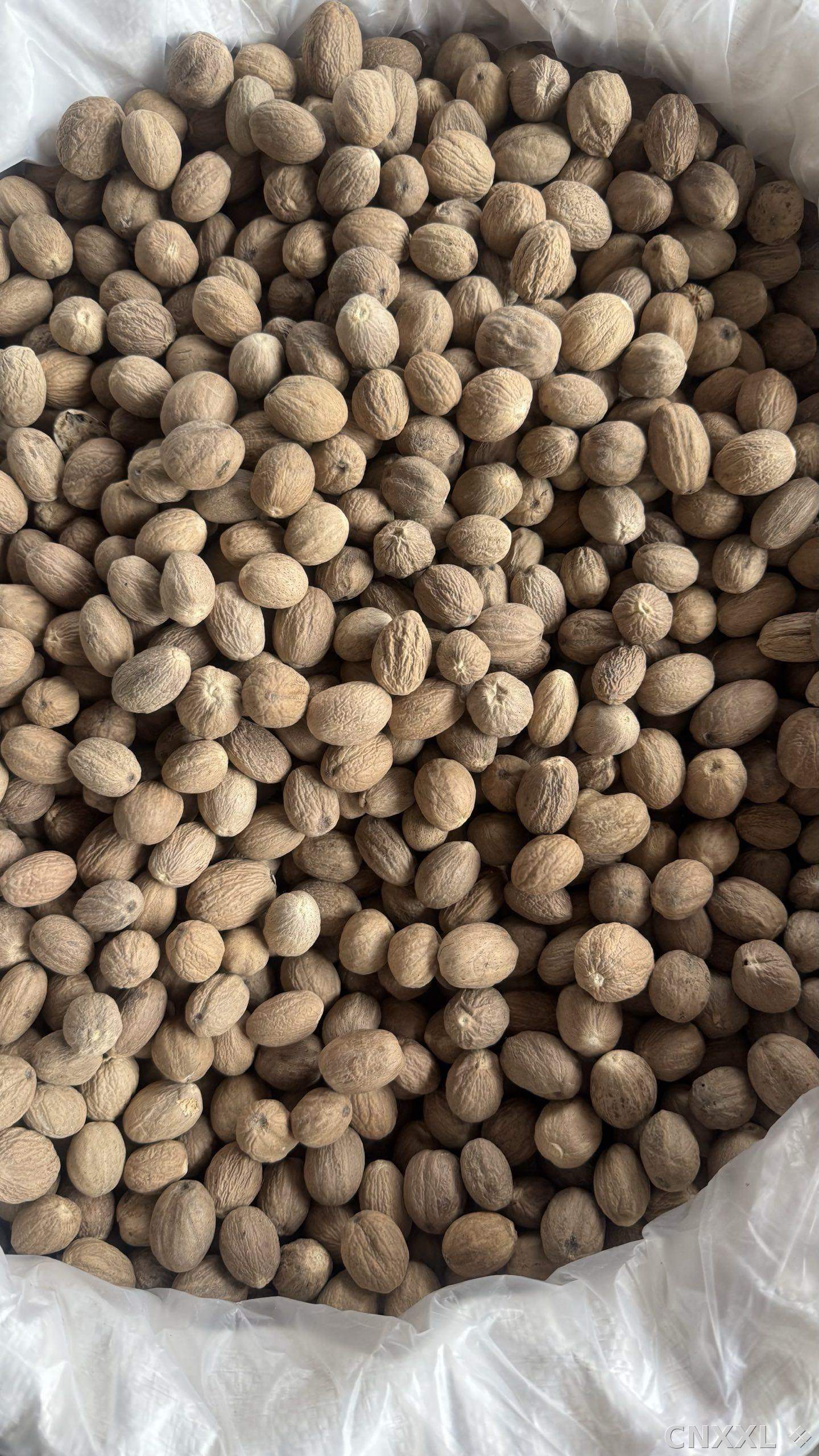 spice_4_b3e20a0b_2.jpg