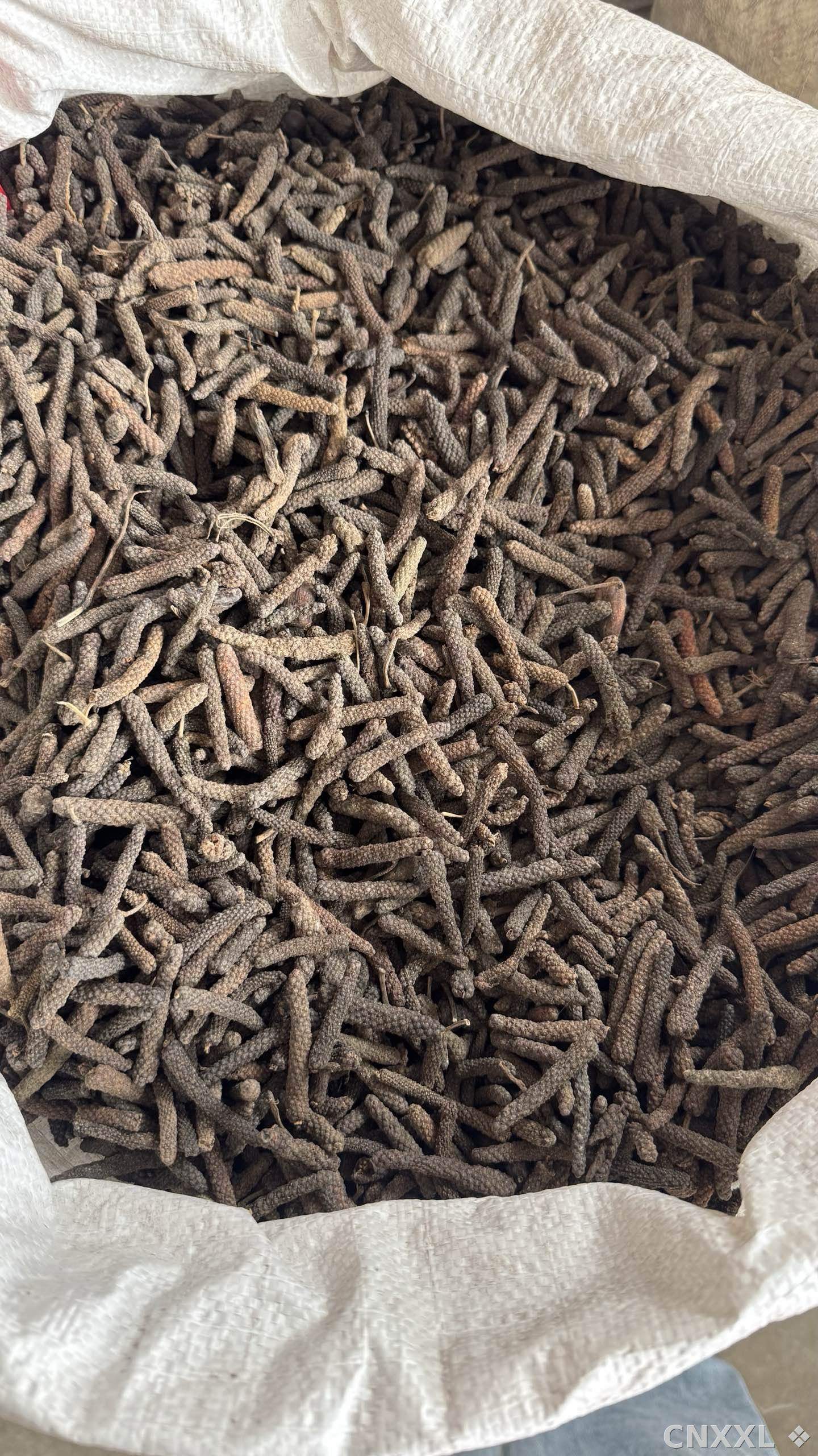 spice_53_7aba841d_3.jpg