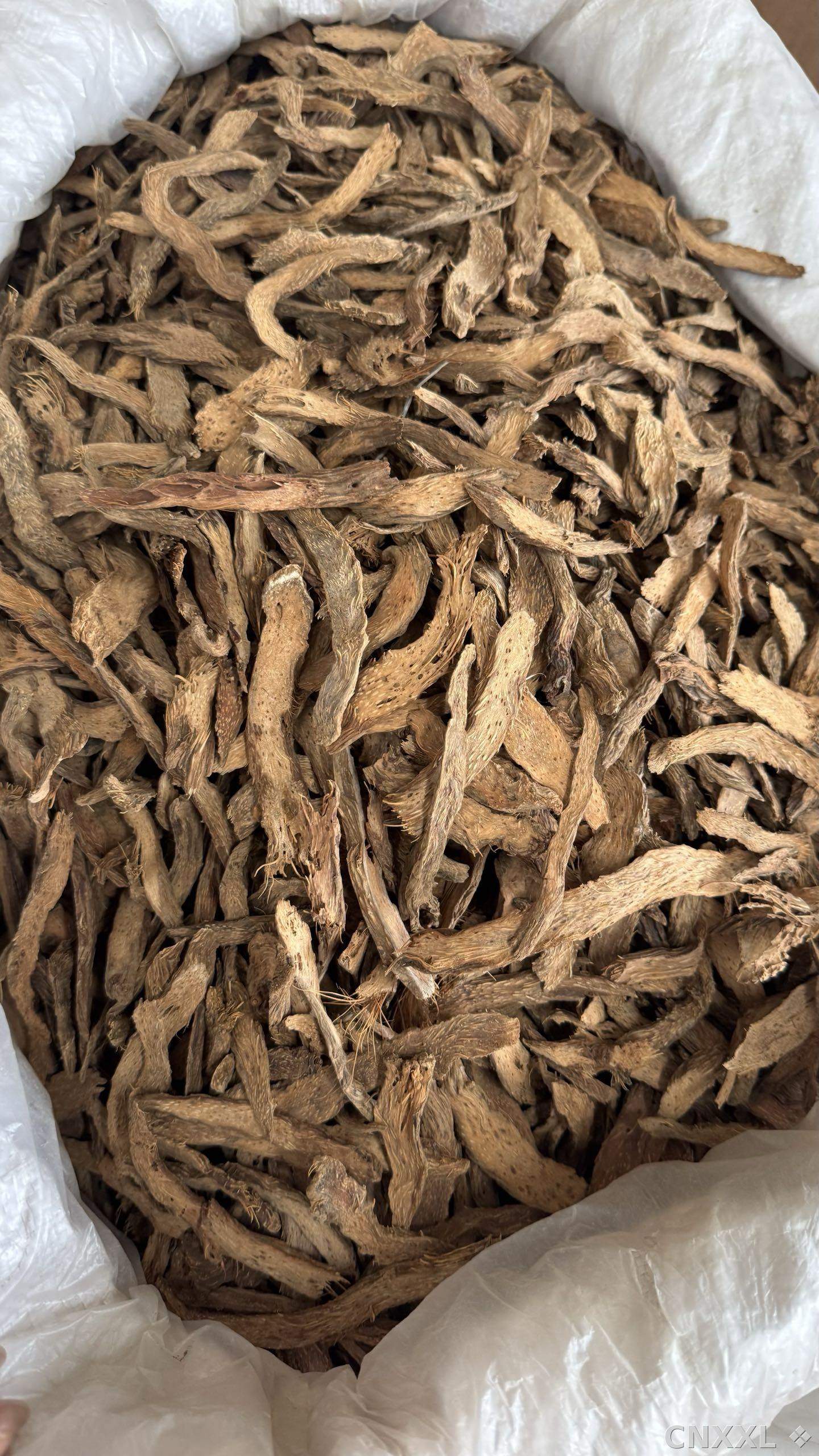 spice_58_d29d5166_3.jpg
