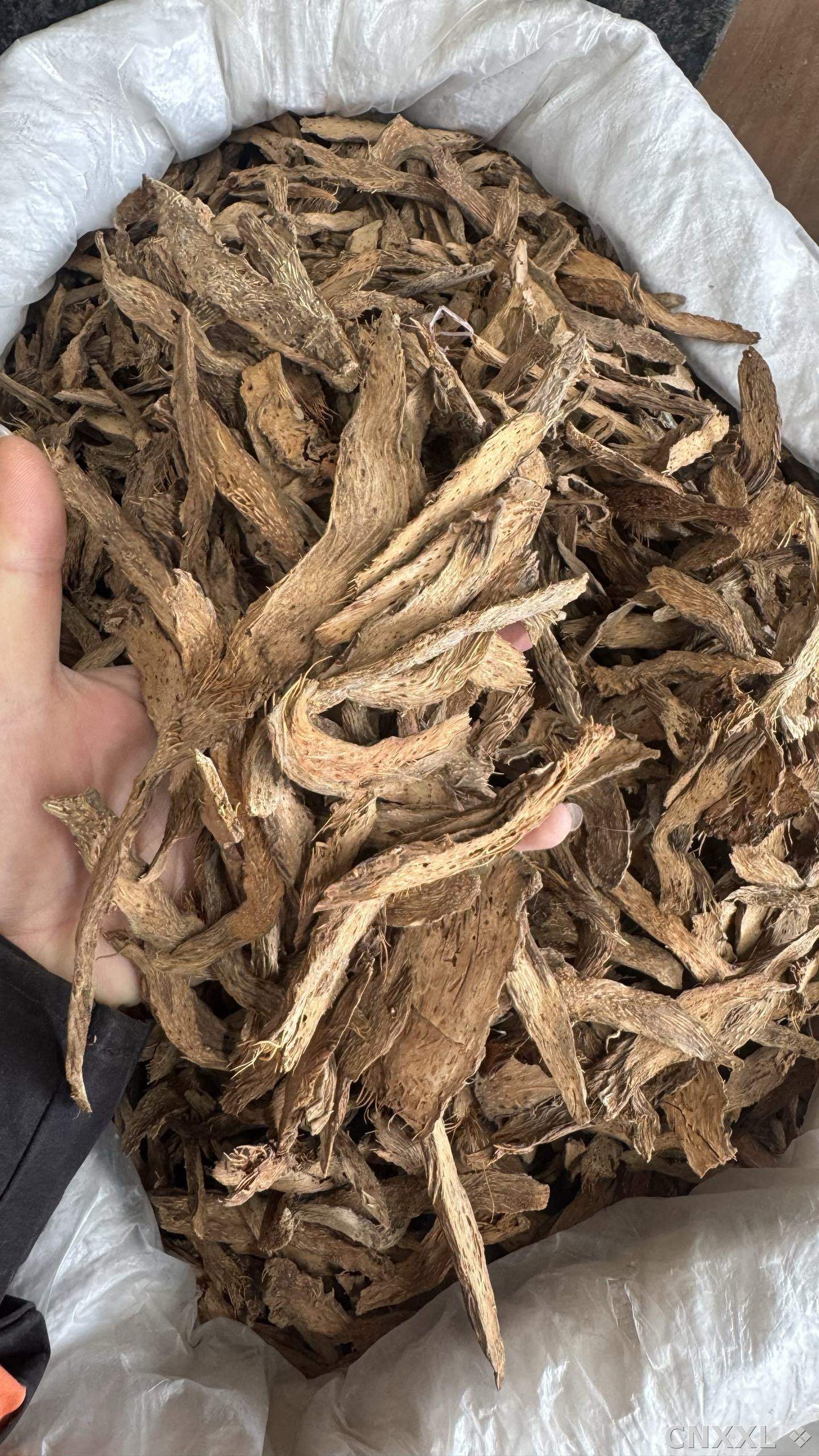spice_58_ef54e71a_2.jpg