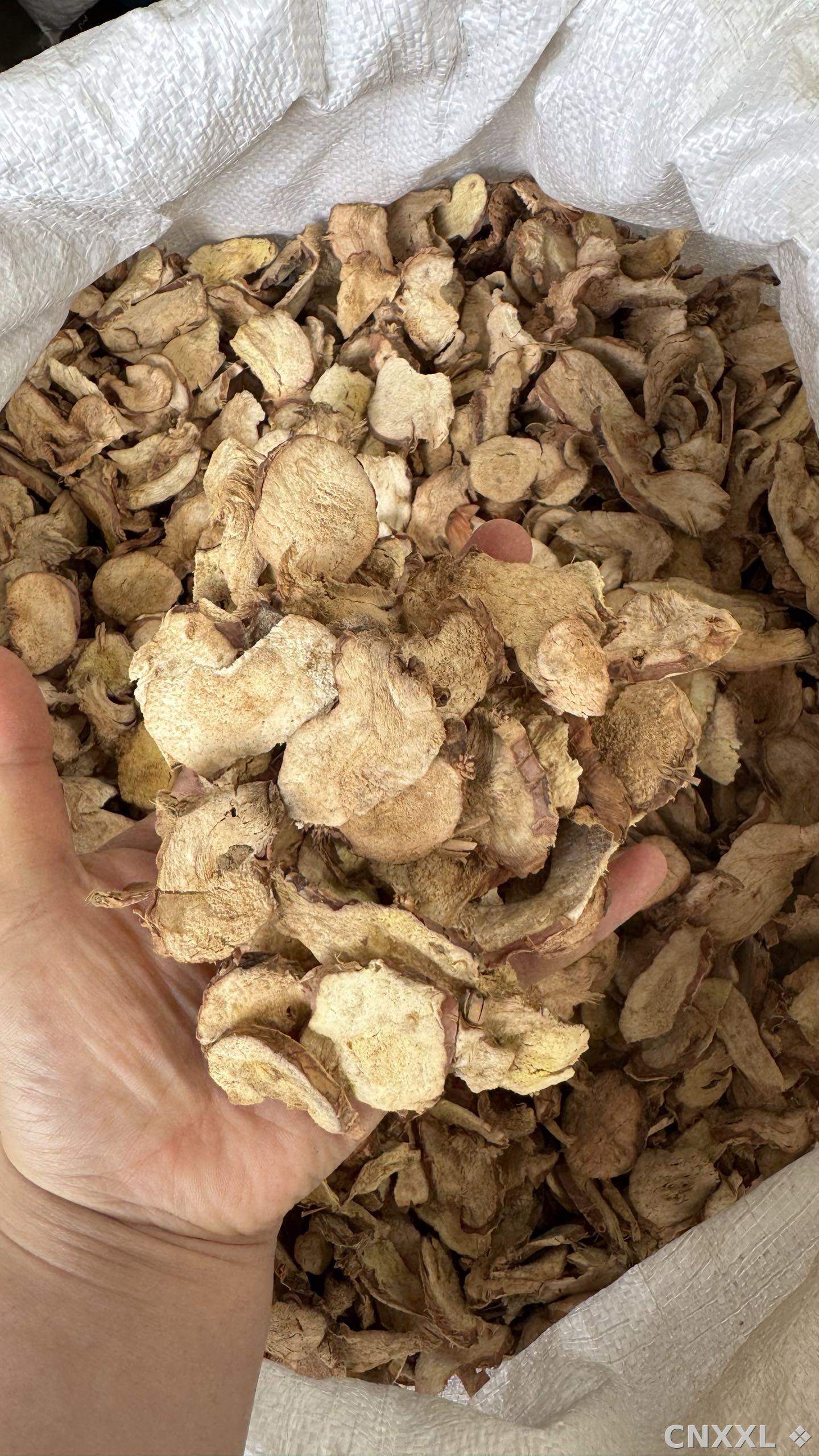 spice_59_eec018e0_1.jpg
