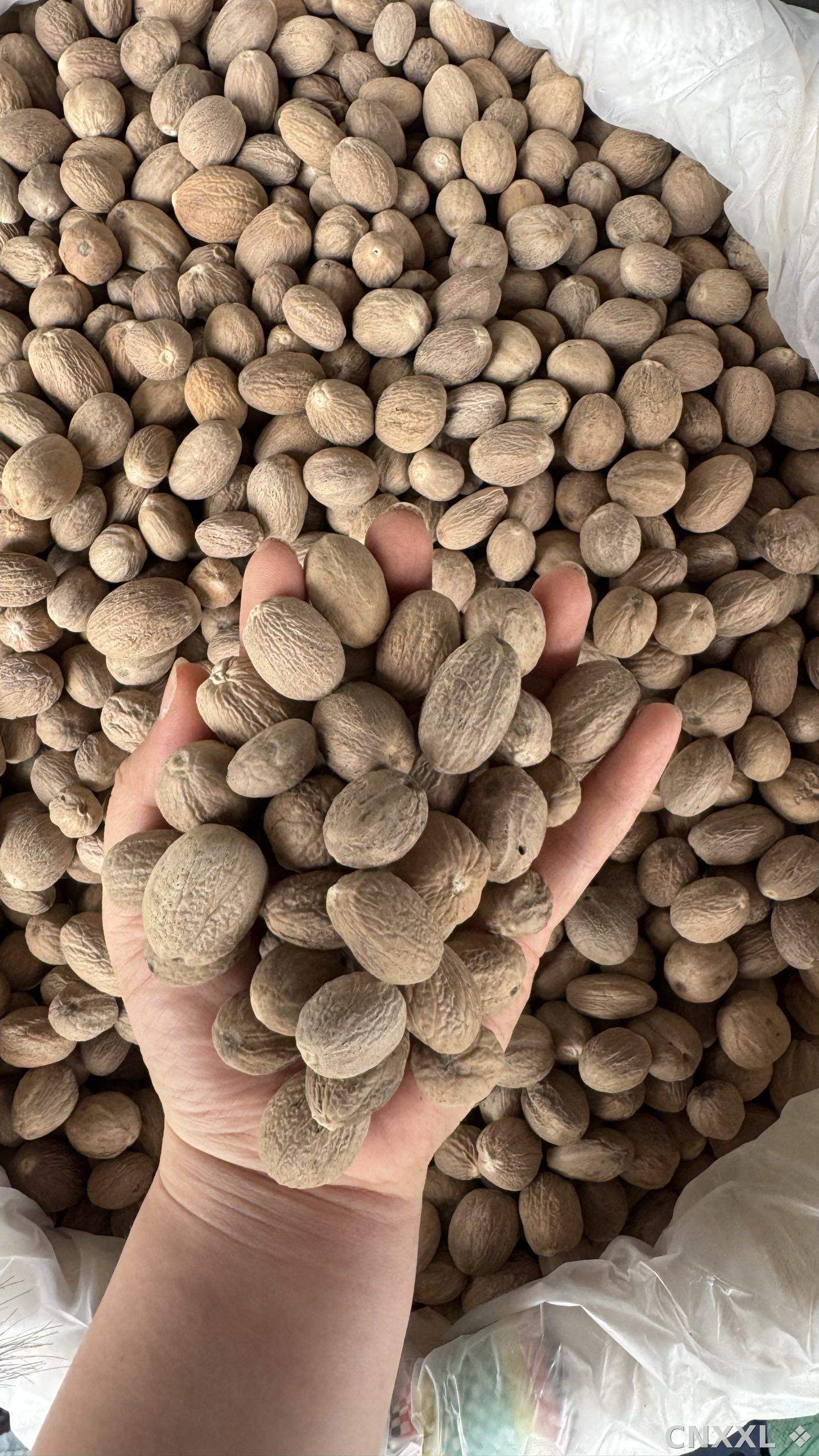 spice_5_9c1a71a7_2.jpg
