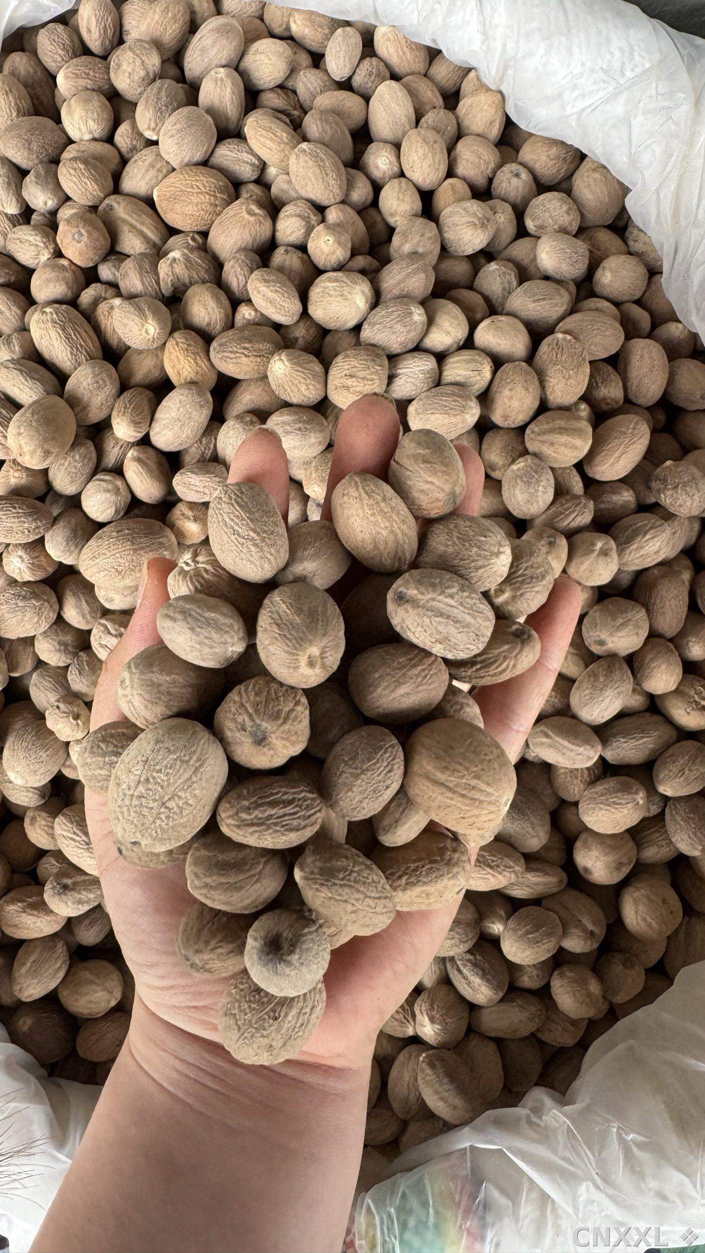 spice_5_c0107982_1.jpg
