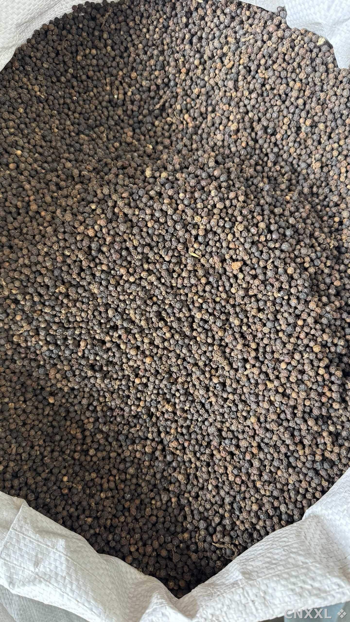 spice_61_f4bf5ae4_3.jpg