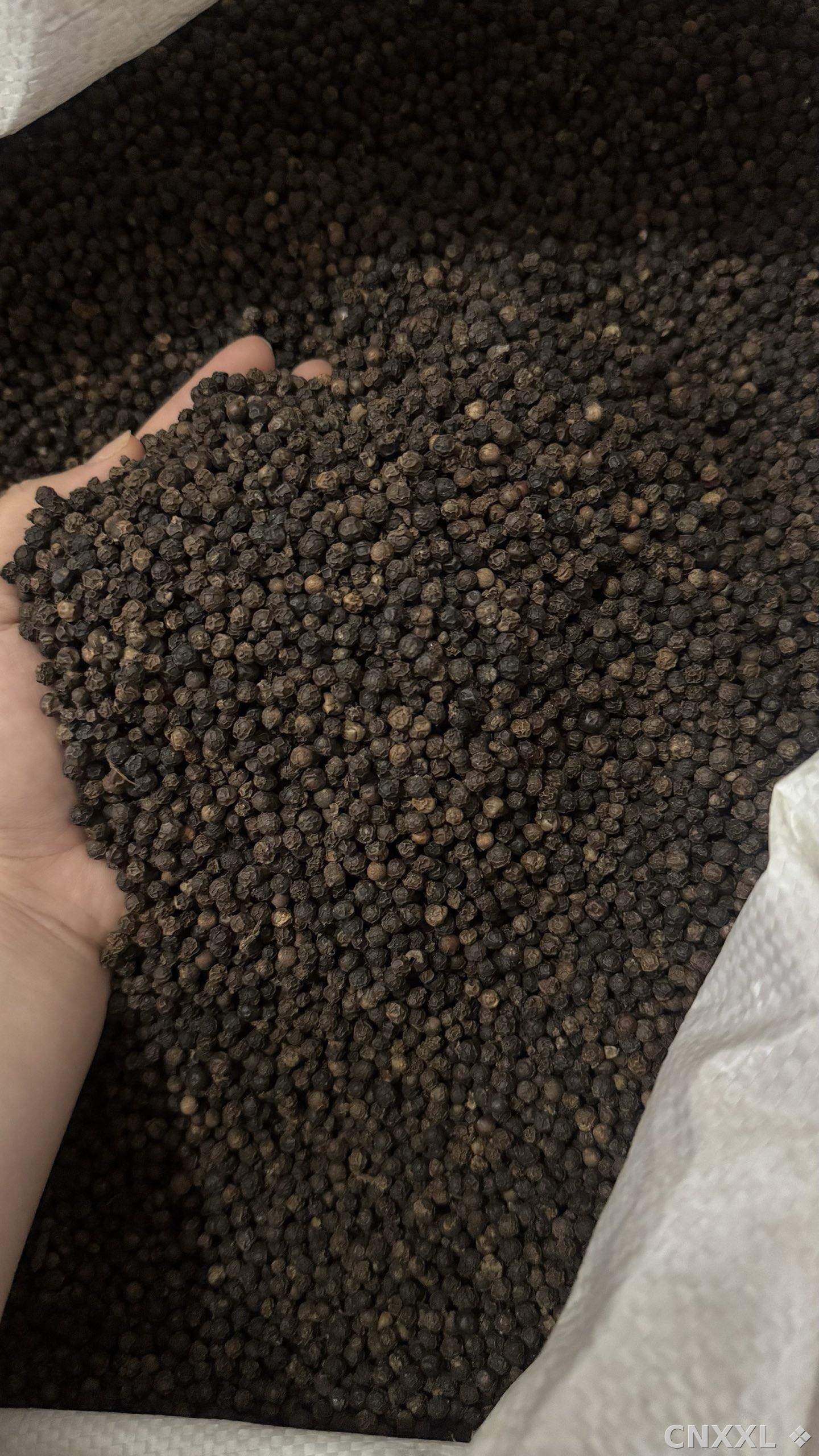 spice_62_85e5c000_3.jpg