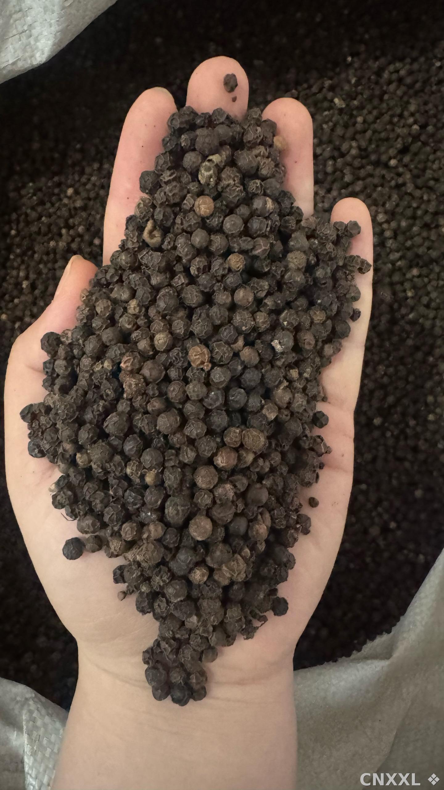 spice_62_918be9ae_2.jpg