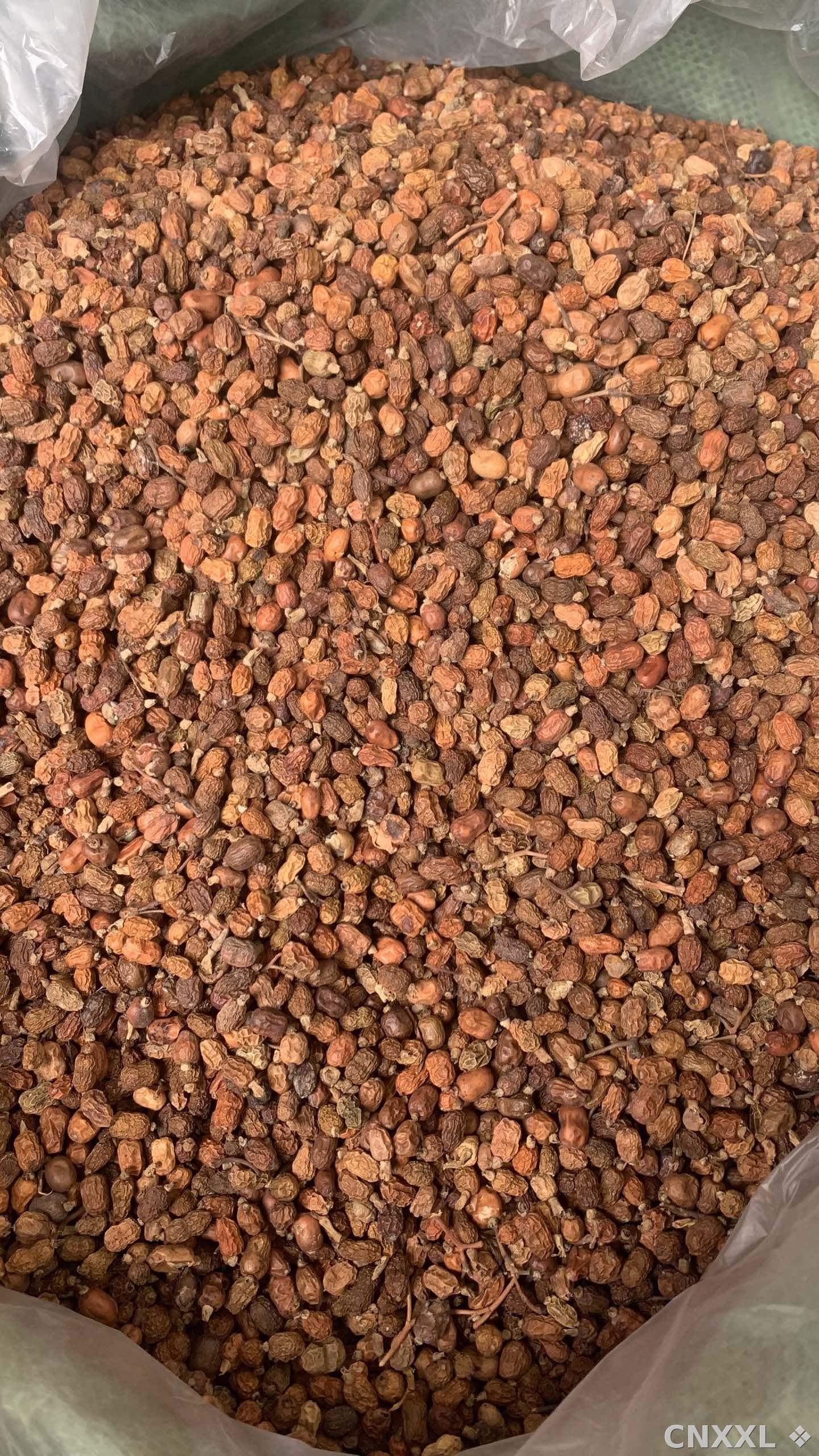 spice_63_b038904b_3.jpg