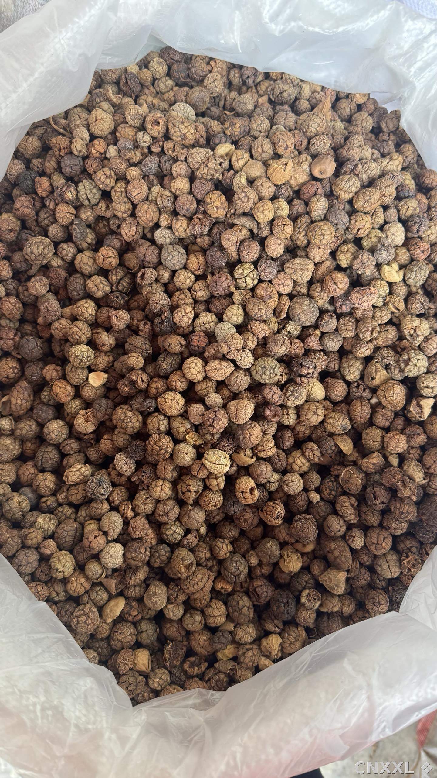 spice_64_5327c731_3.jpg