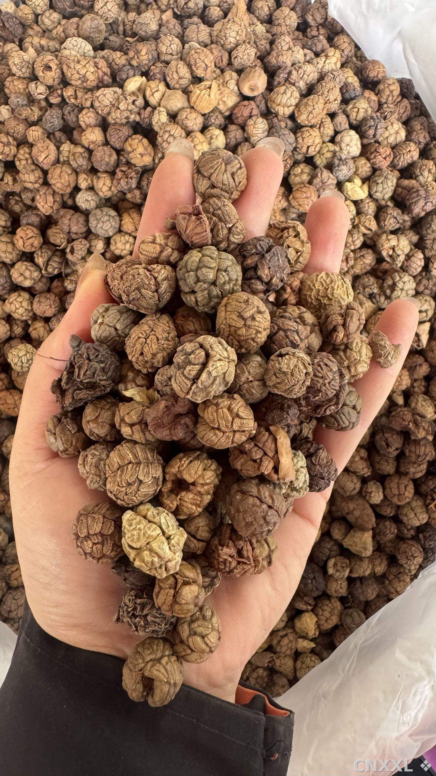 spice_64_5d8bae25_2.jpg