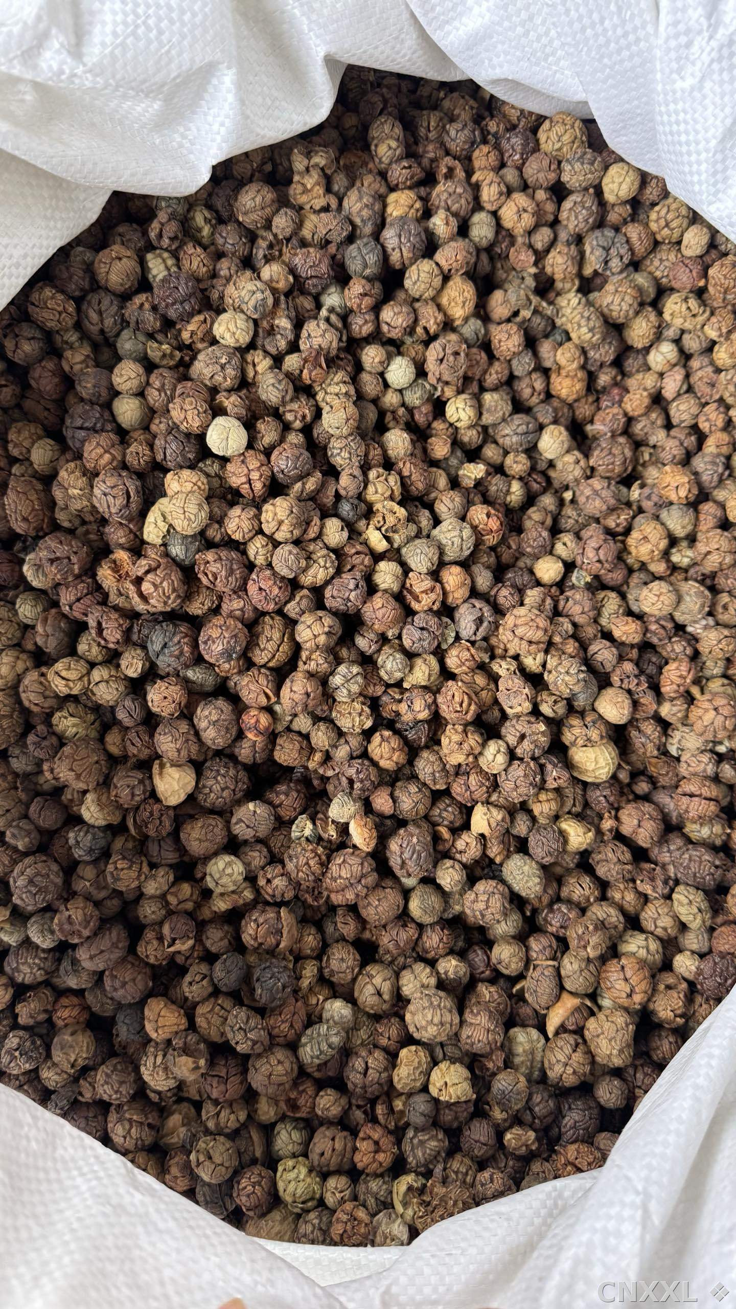 spice_66_ebcc190b_3.jpg