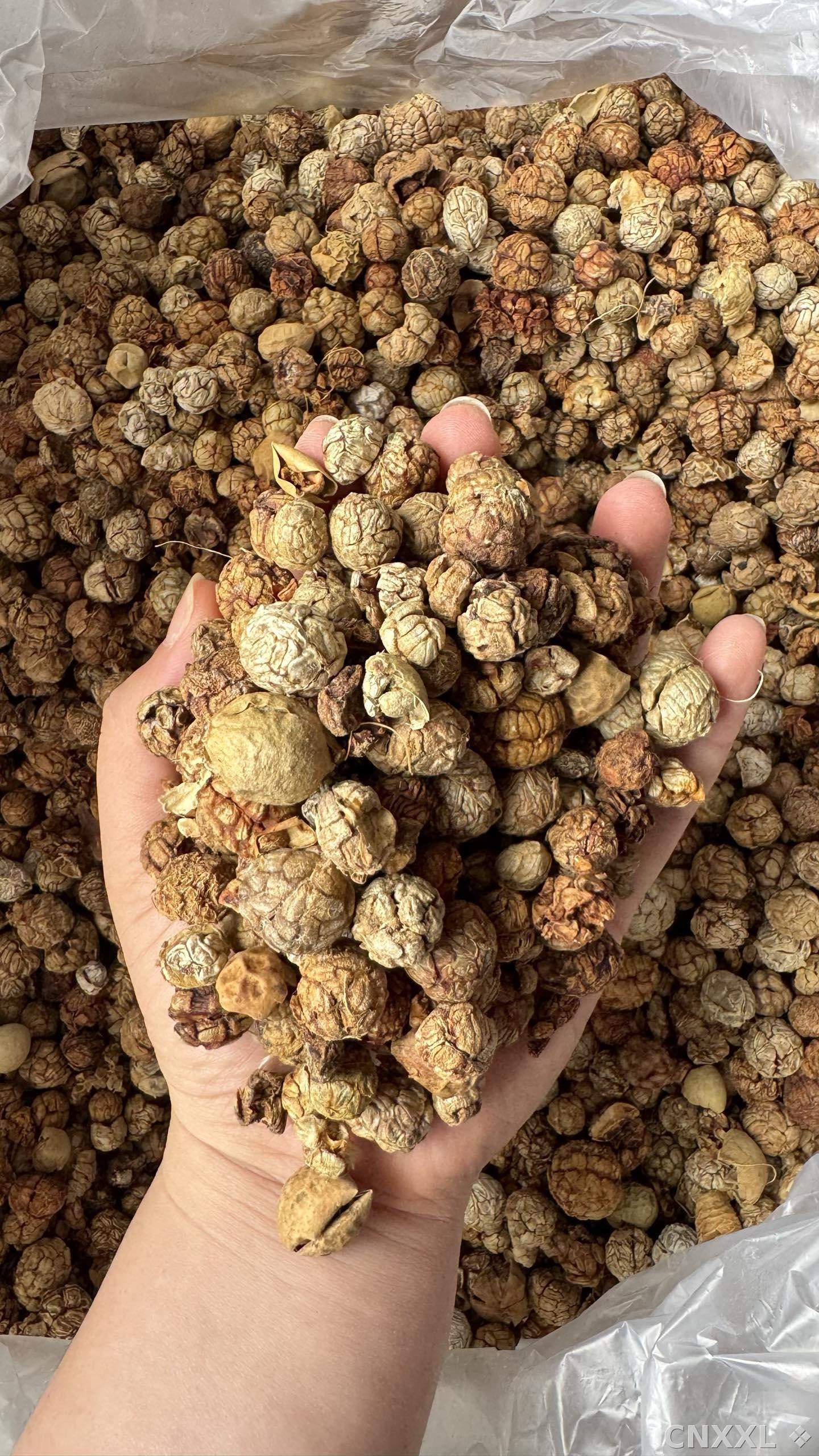 spice_67_2ceff687_2.jpg