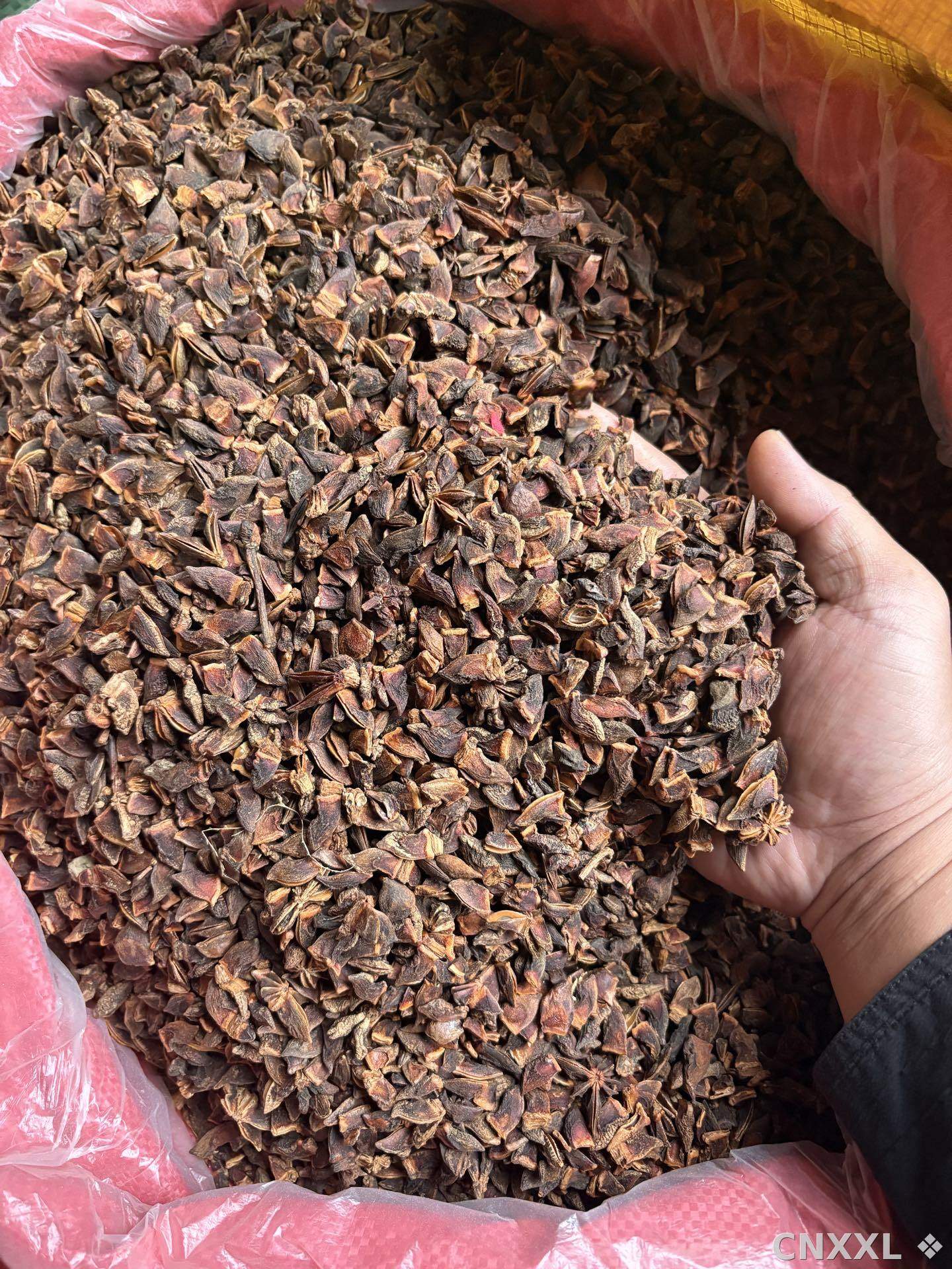 spice_72_1d7de40b_3.jpg