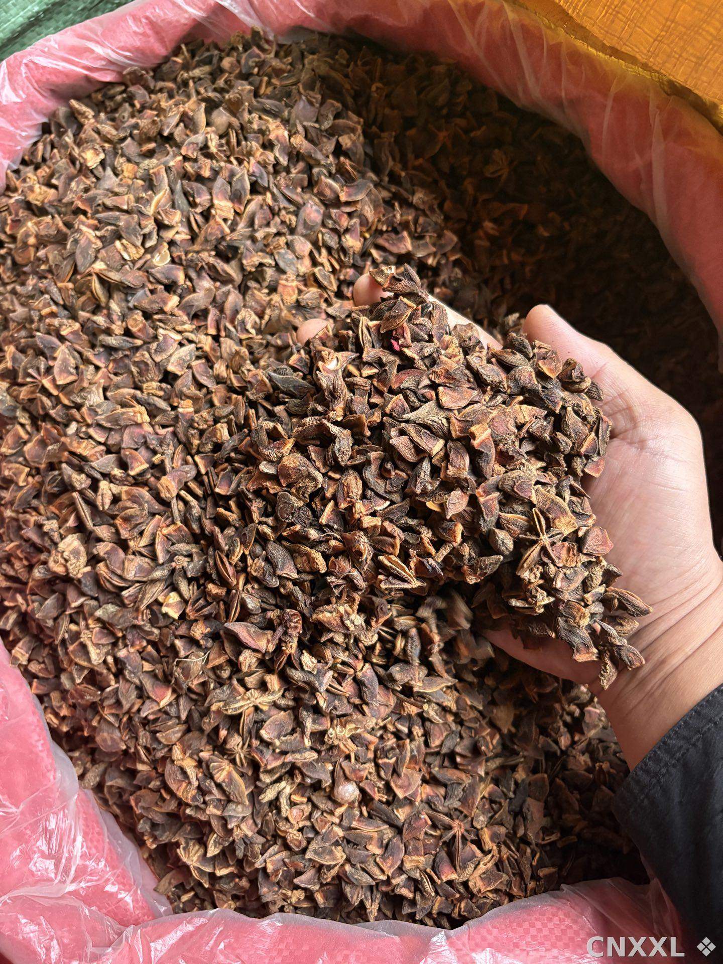 spice_72_38e64415_2.jpg