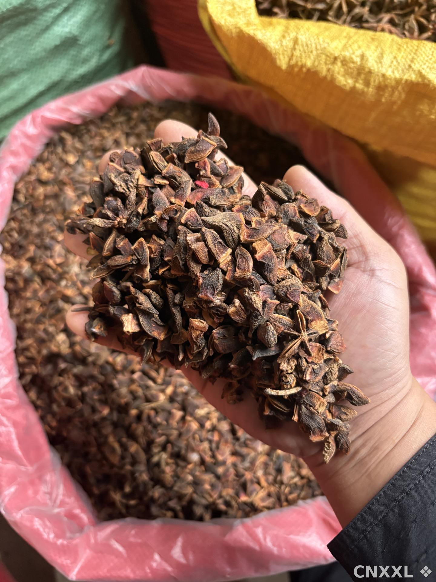 spice_72_9e703e1f_1.jpg
