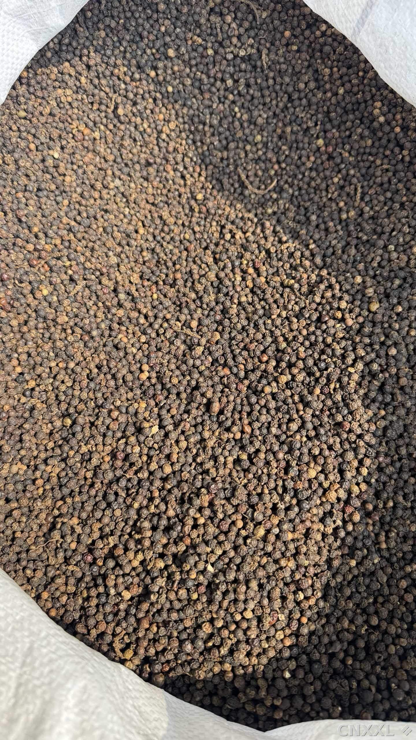 spice_739_db8f1c05_3.jpg