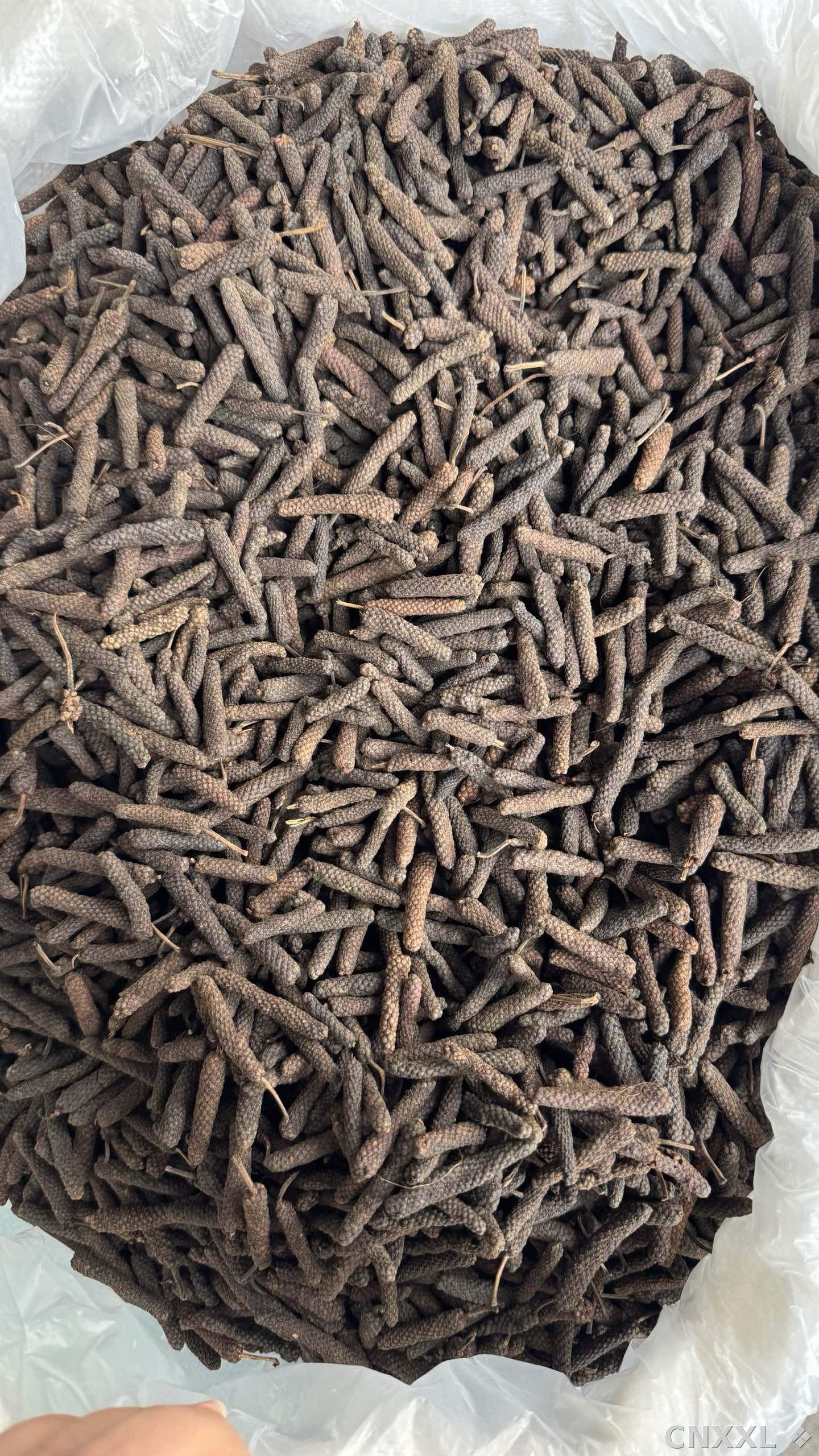 spice_743_45fcf8e1_3.jpg