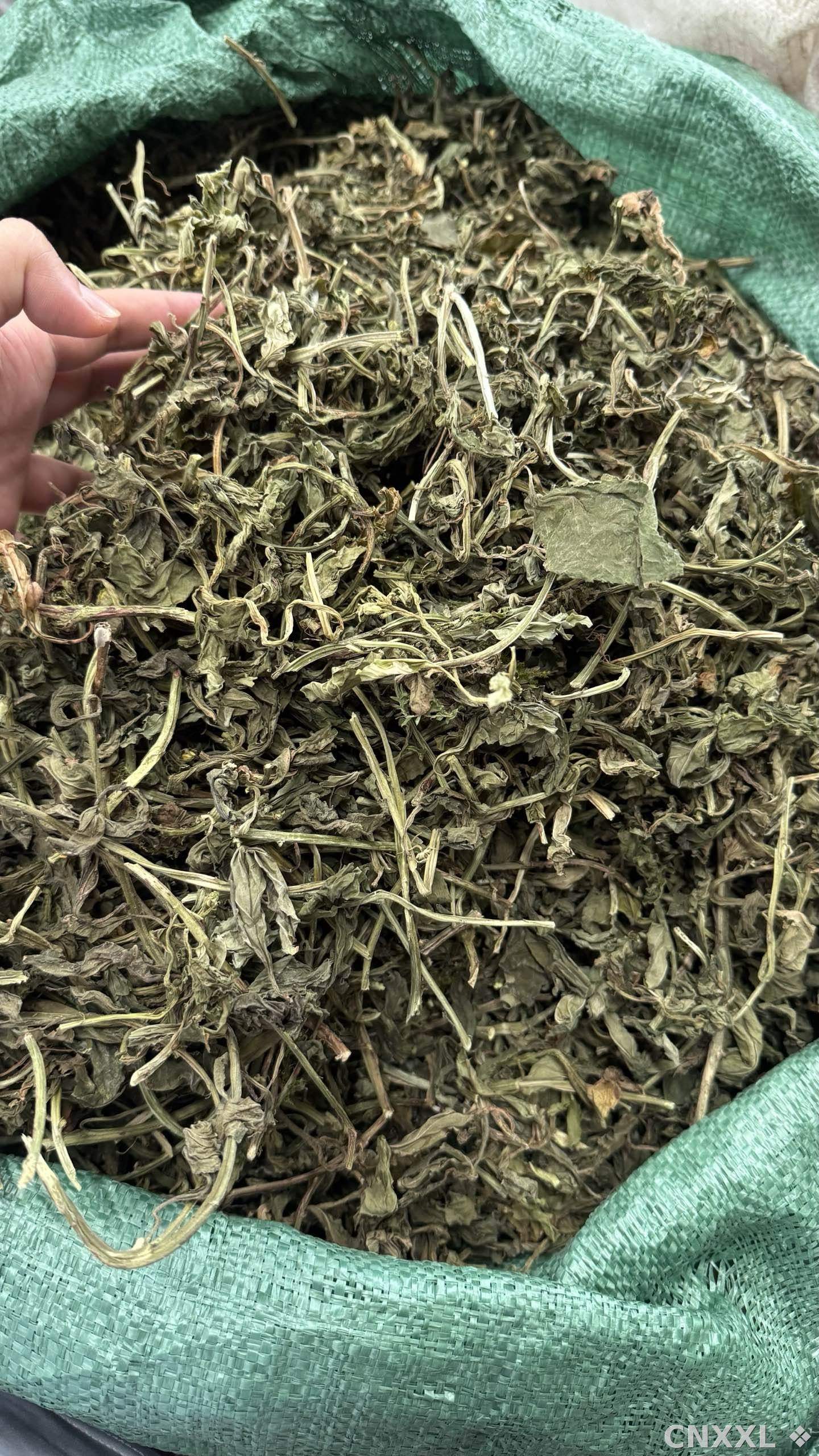 spice_7494_fafcd2dd_3.jpg