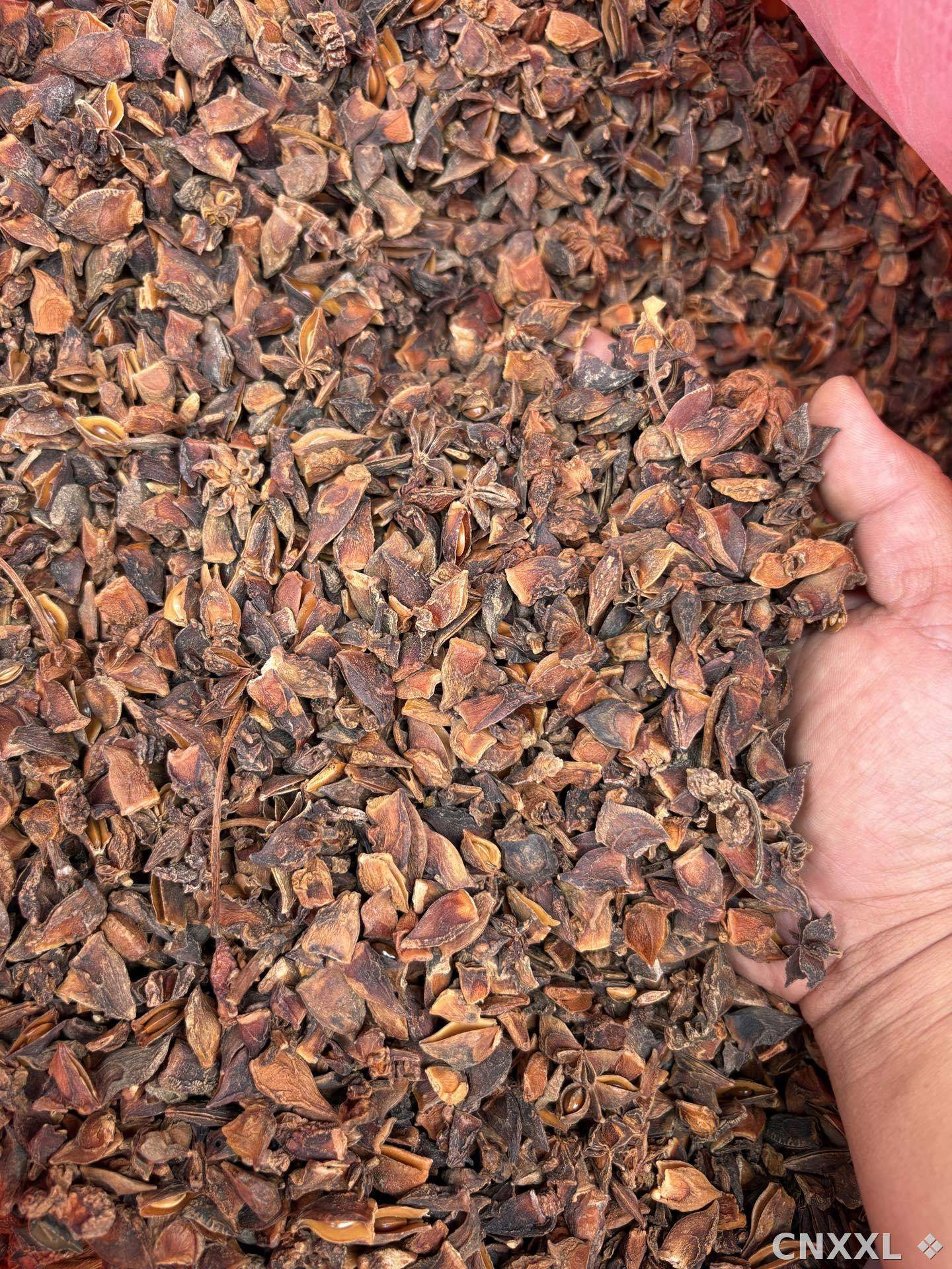 spice_75_afa498b1_3.jpg