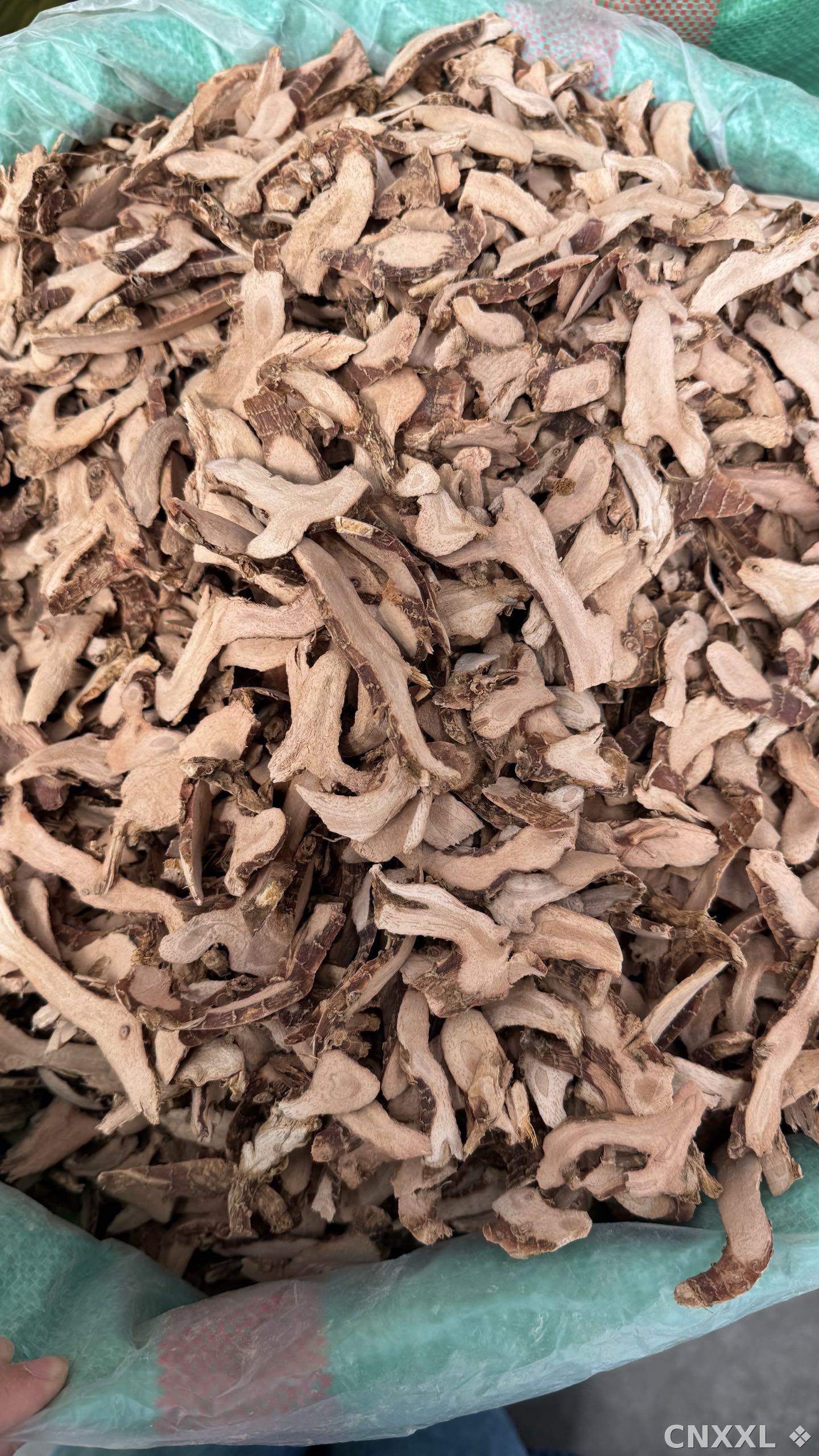 spice_8326_1a188df8_3.jpg