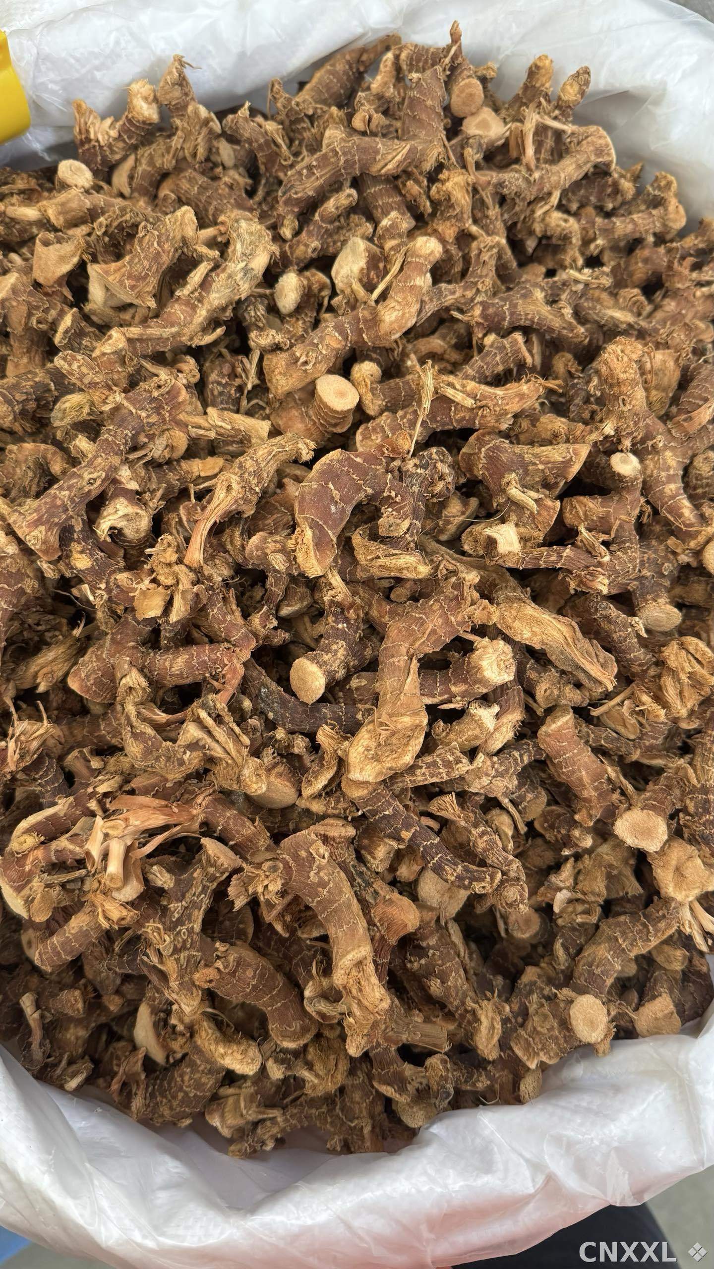 spice_8327_98ce7d1c_3.jpg