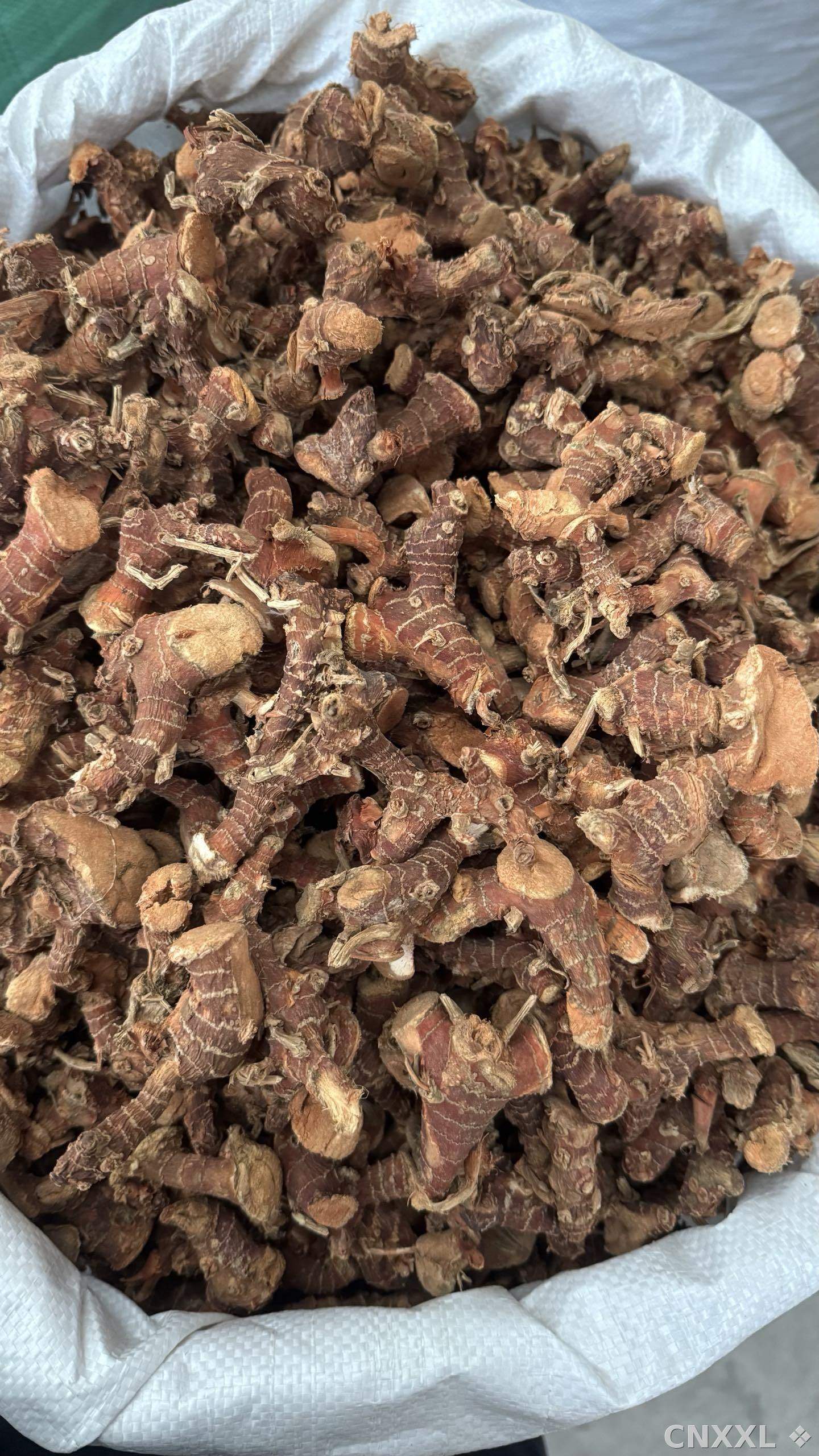spice_8328_75d6dc57_3.jpg