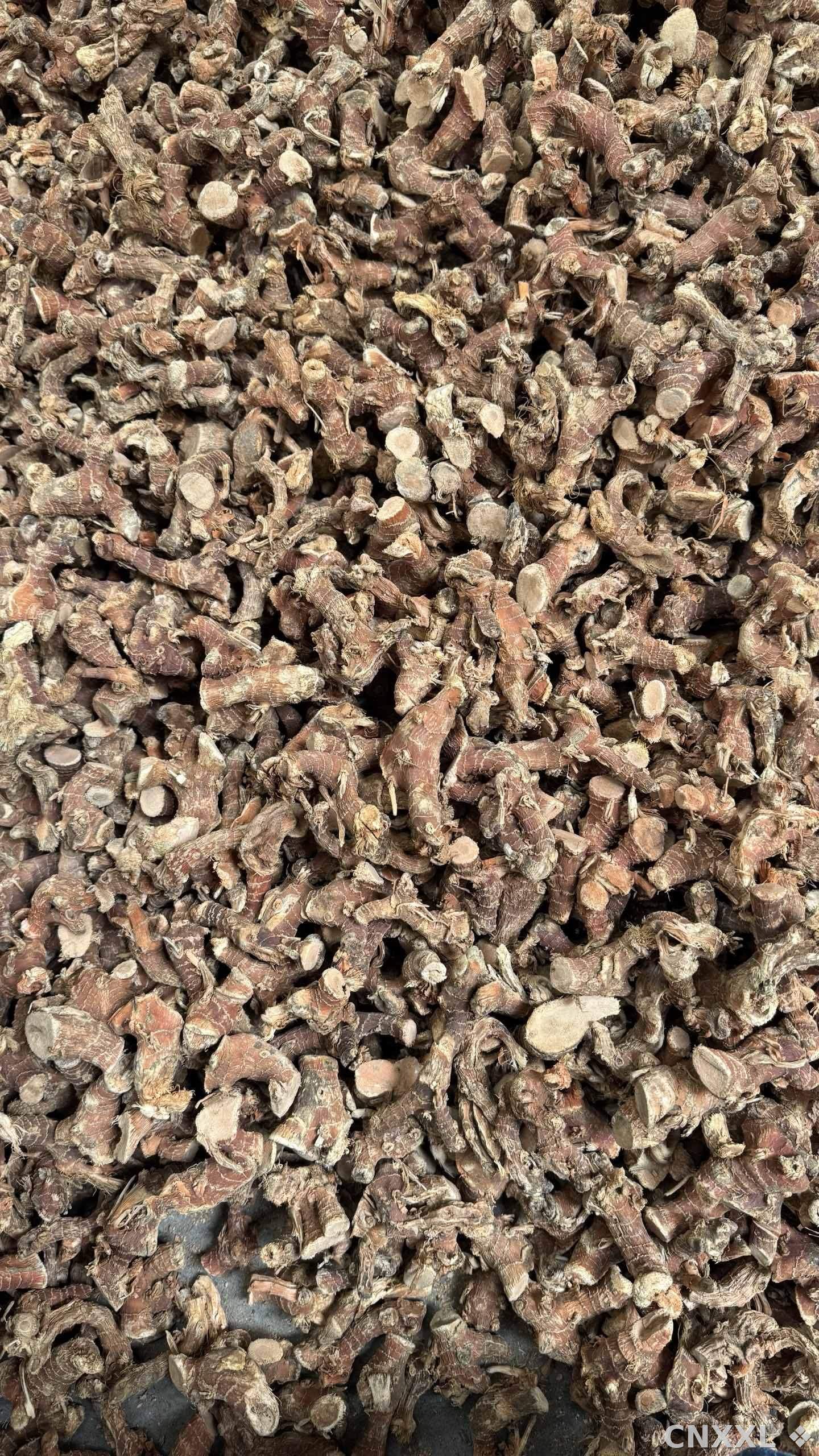 spice_8329_2c449c09_3.jpg