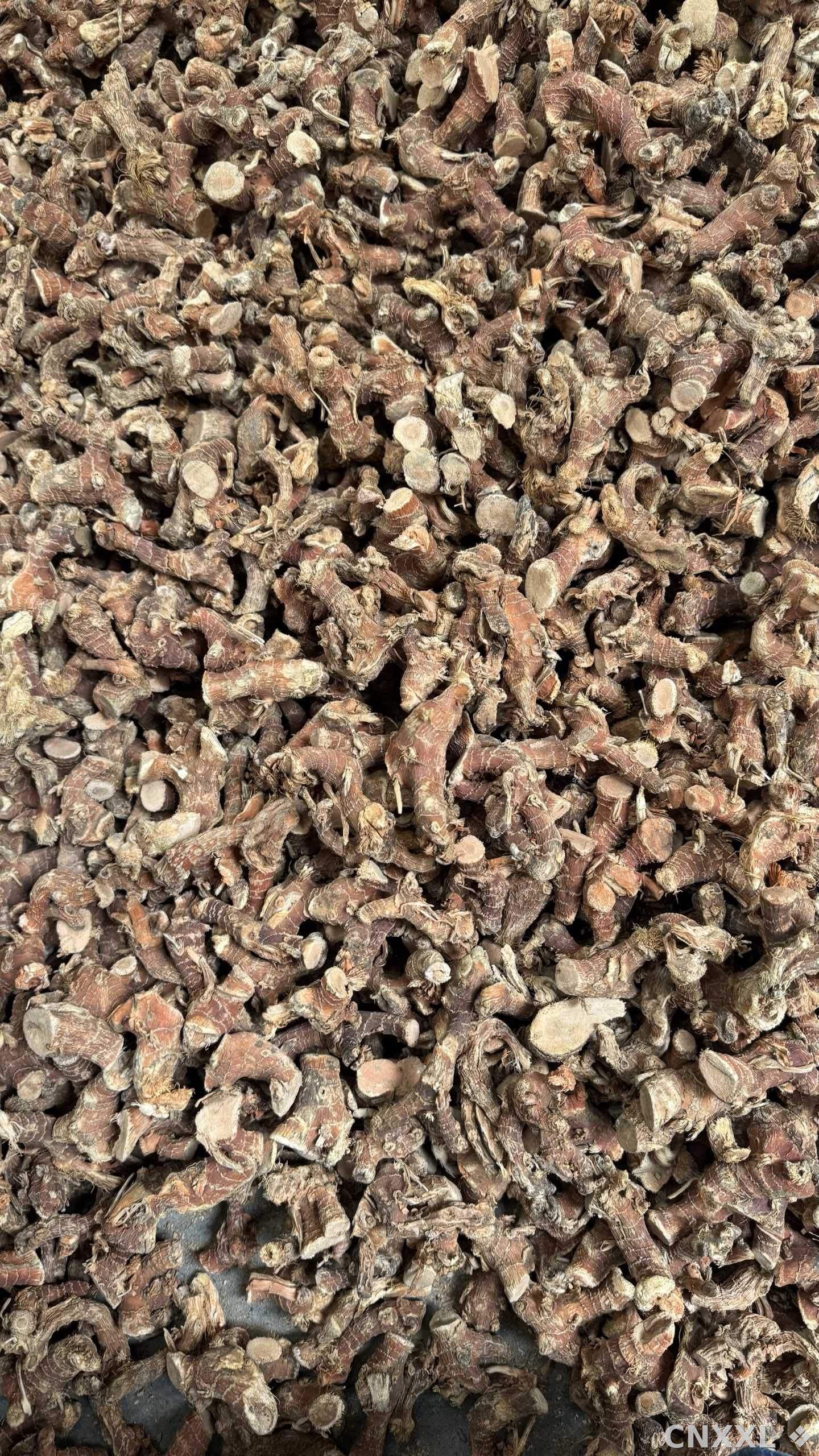spice_8329_9878b6ec_2.jpg