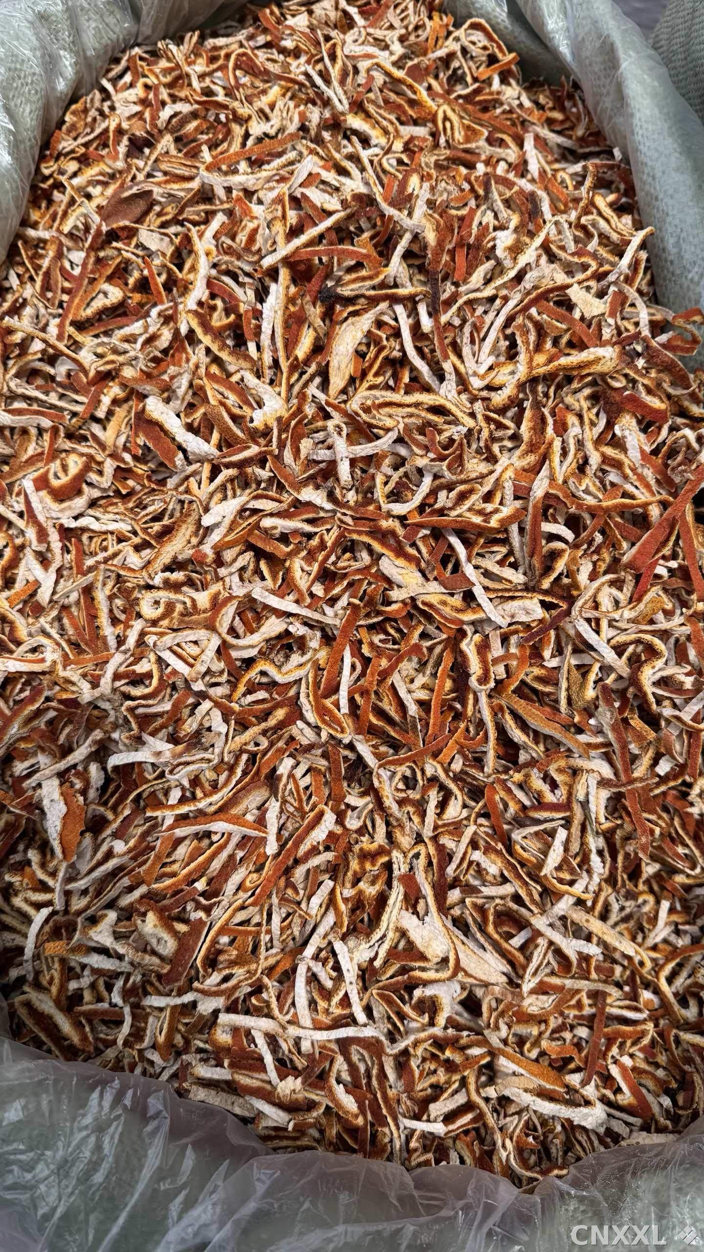 spice_8348_b8564fb2_3.jpg