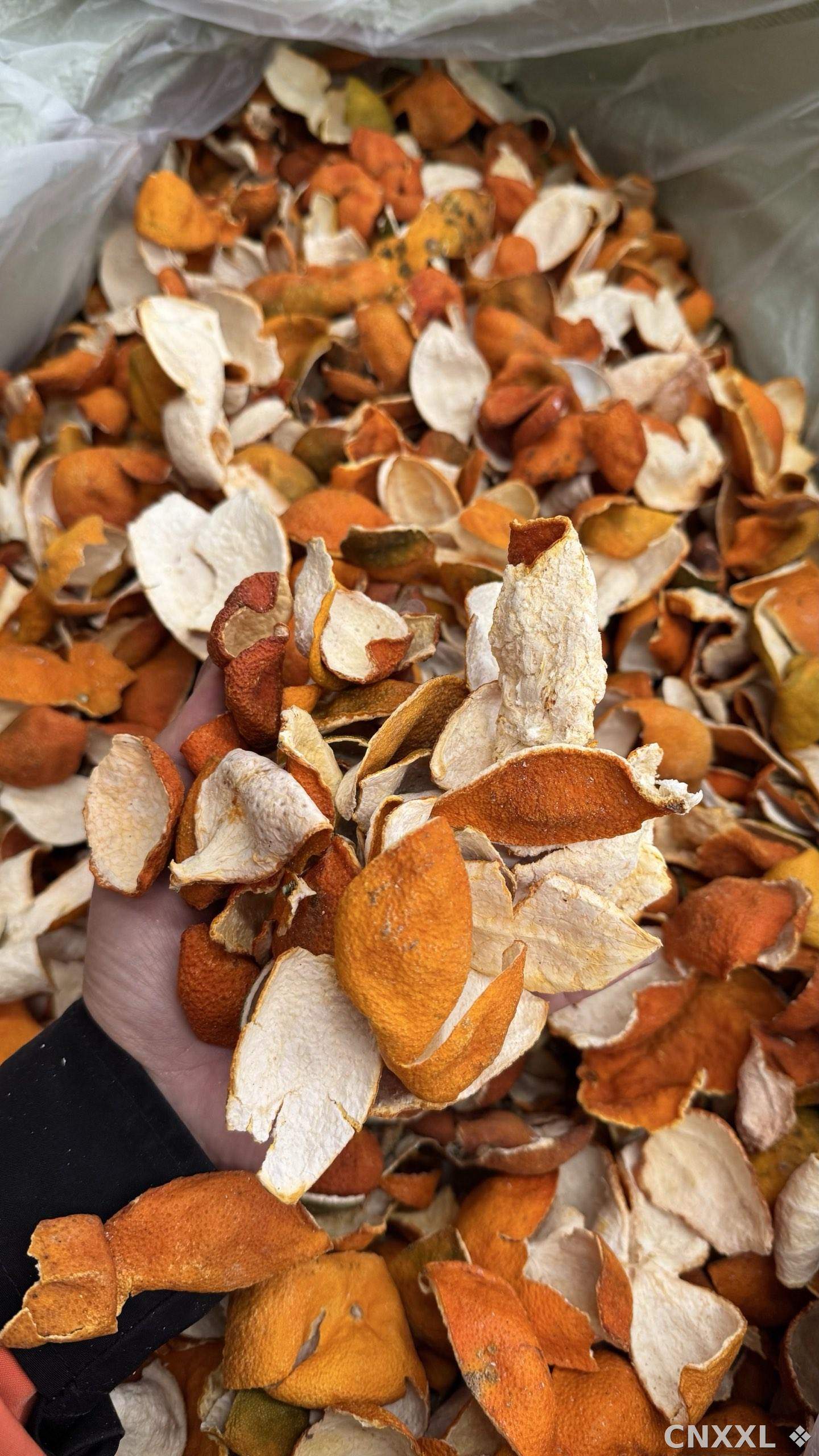 spice_8349_8a0efedc_1.jpg