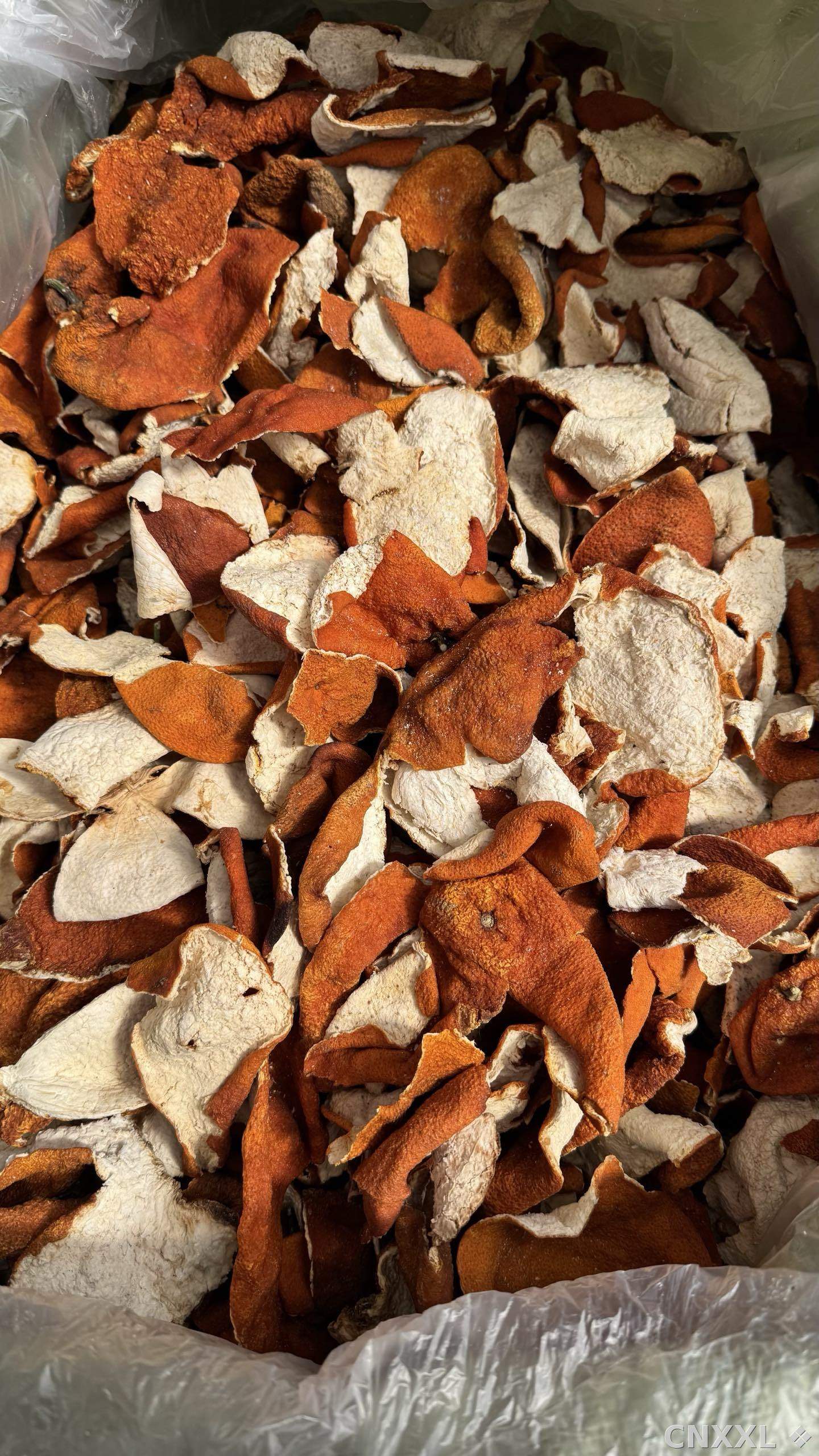 spice_8351_204c1575_3.jpg
