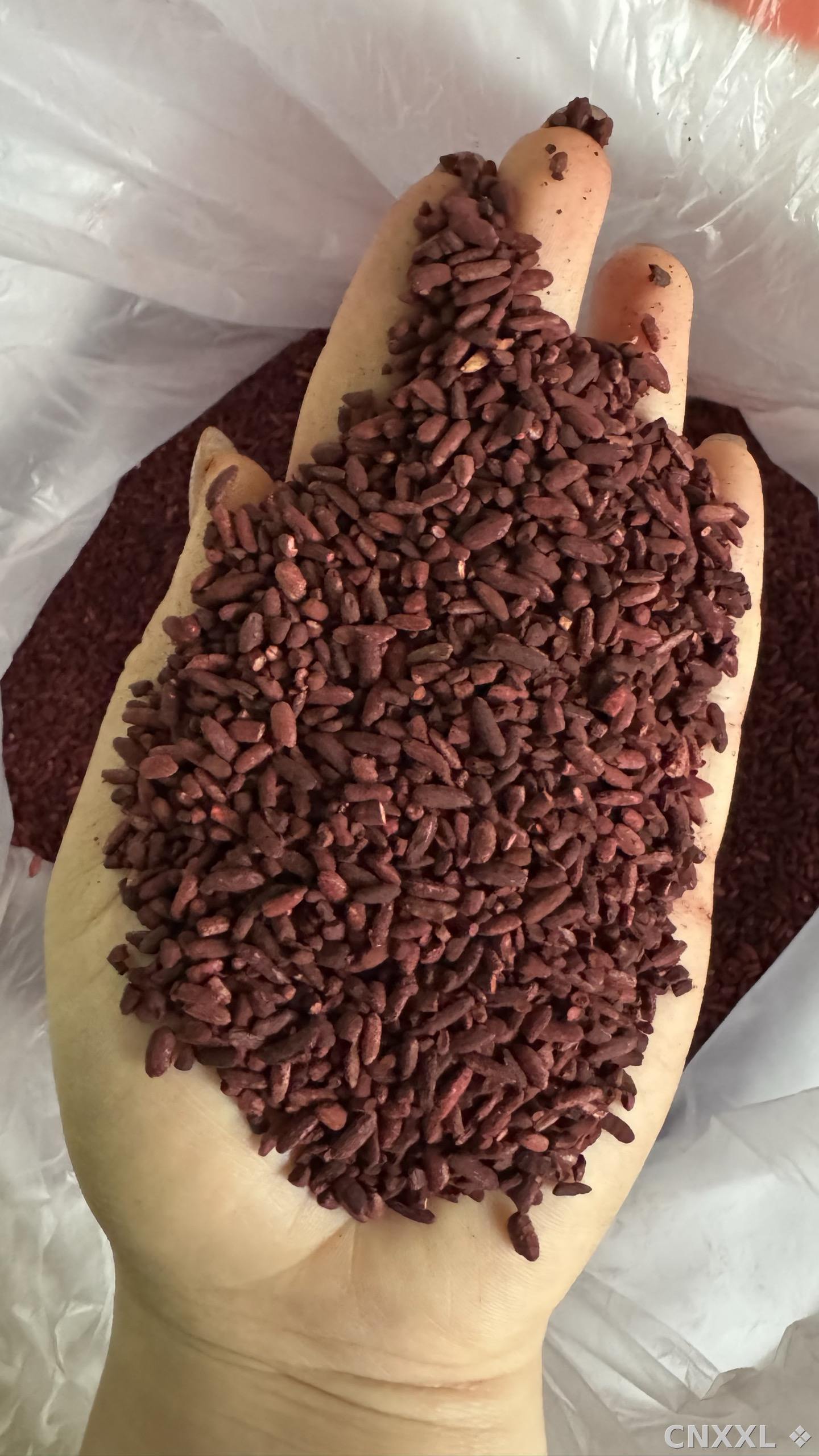 spice_8353_e6cccbea_2.jpg