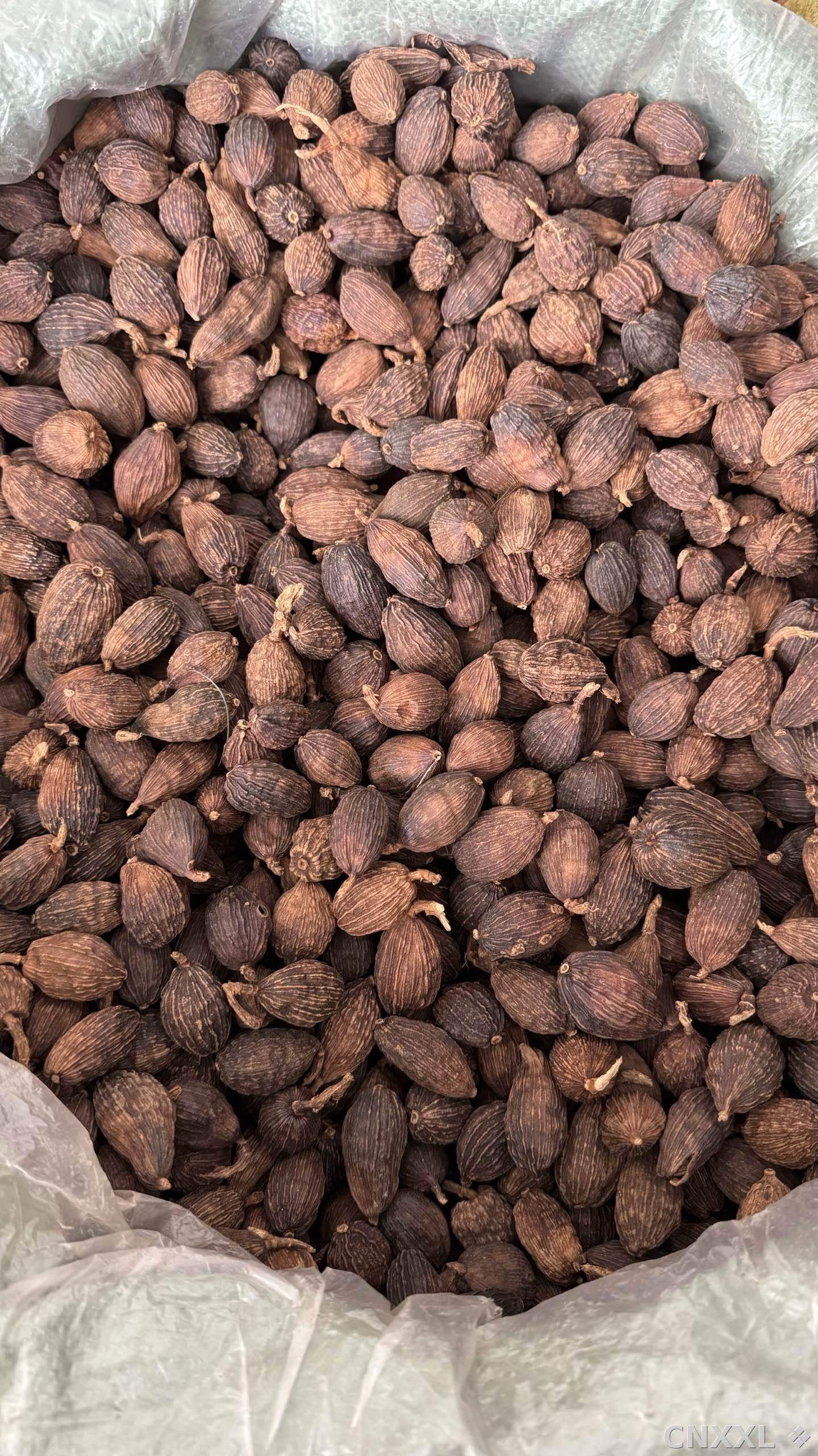 spice_8360_6ee8d55b_2.jpg